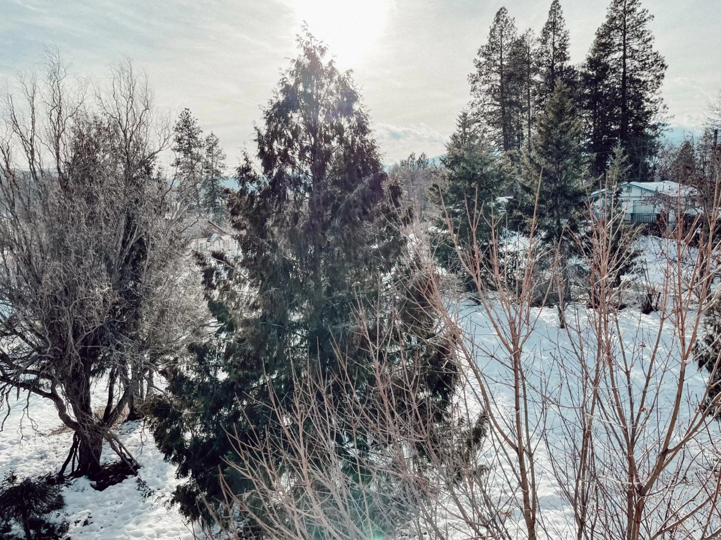 Northside School Bed & Breakfast