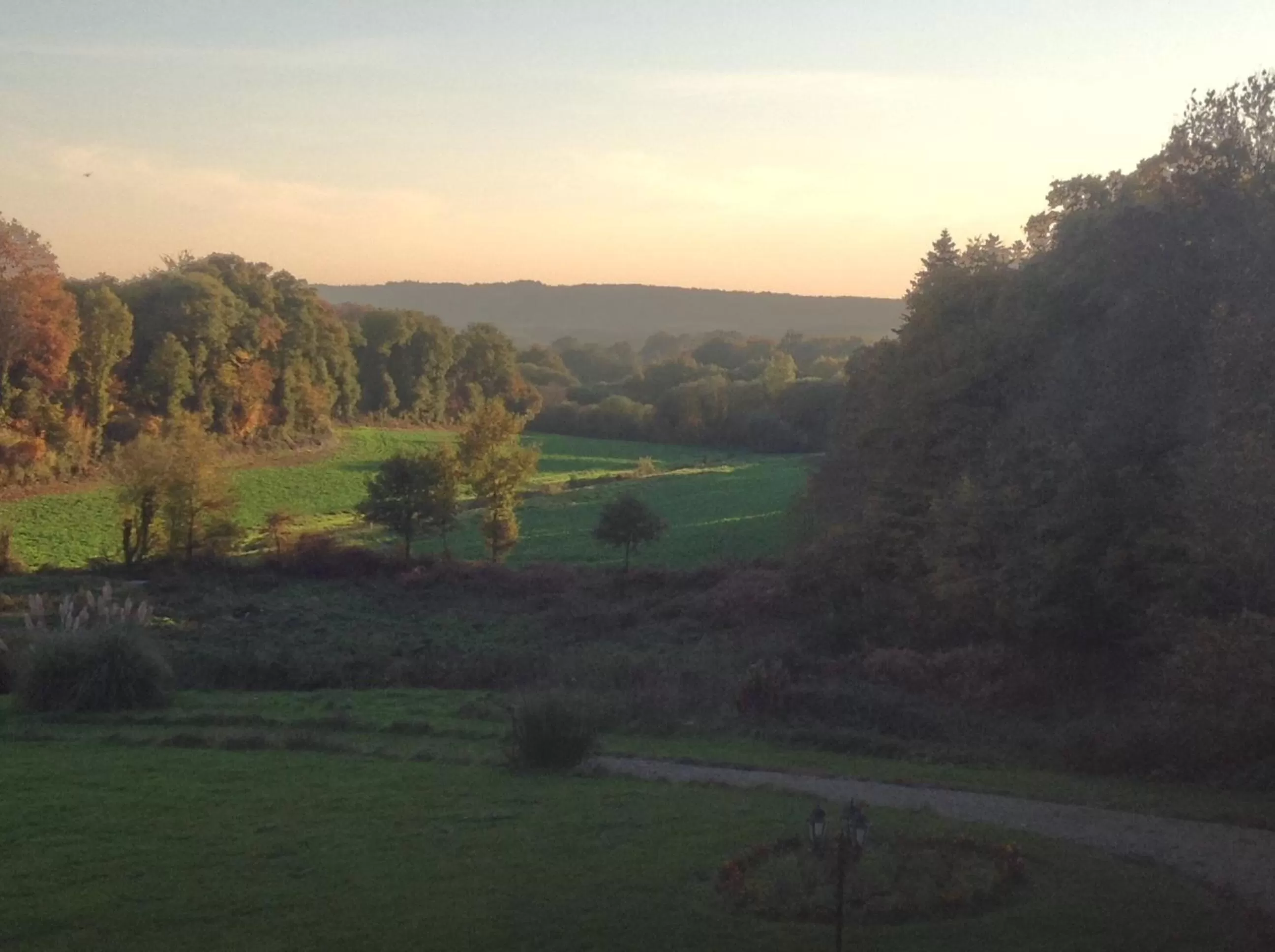 Garden view in Château de La Ville-Huë