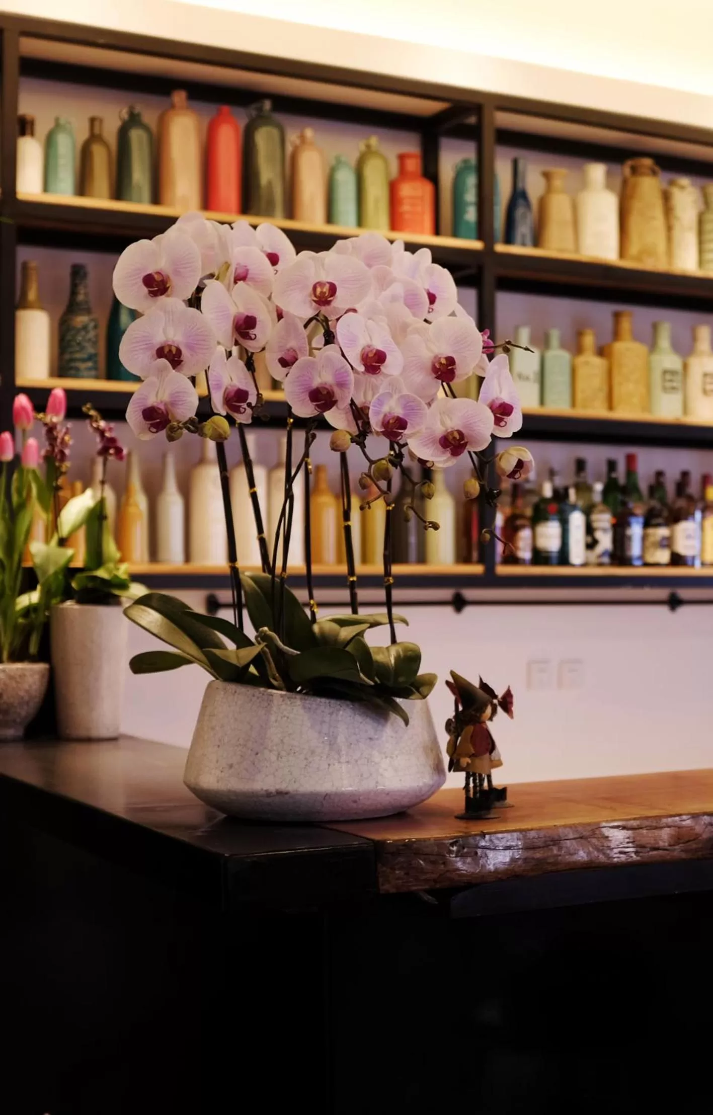 Alcoholic drinks in Beijing Shangchao Hotel