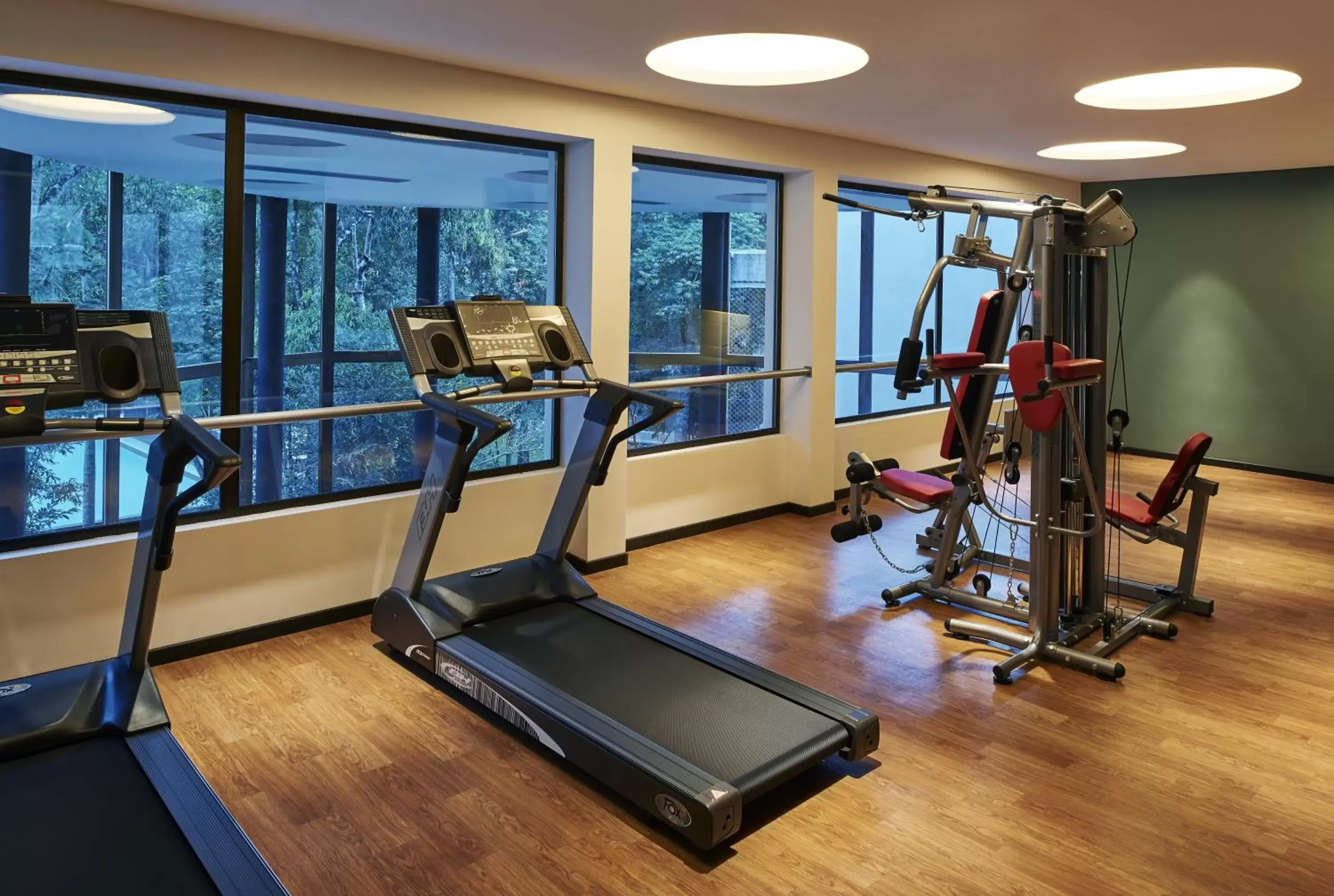 Fitness centre/facilities, Fitness Center/Facilities in Mercure Iguazu Hotel Iru