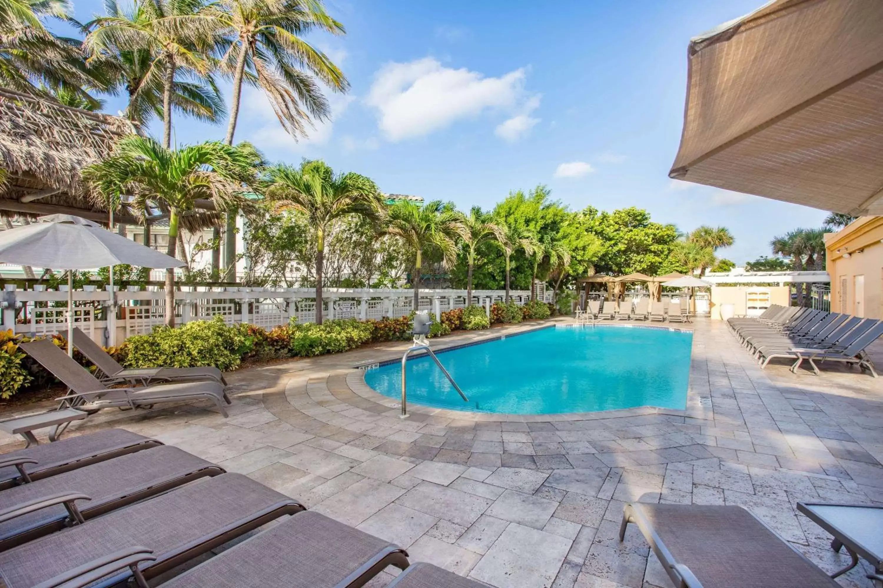 Activities, Swimming Pool in Wyndham Deerfield Beach Resort