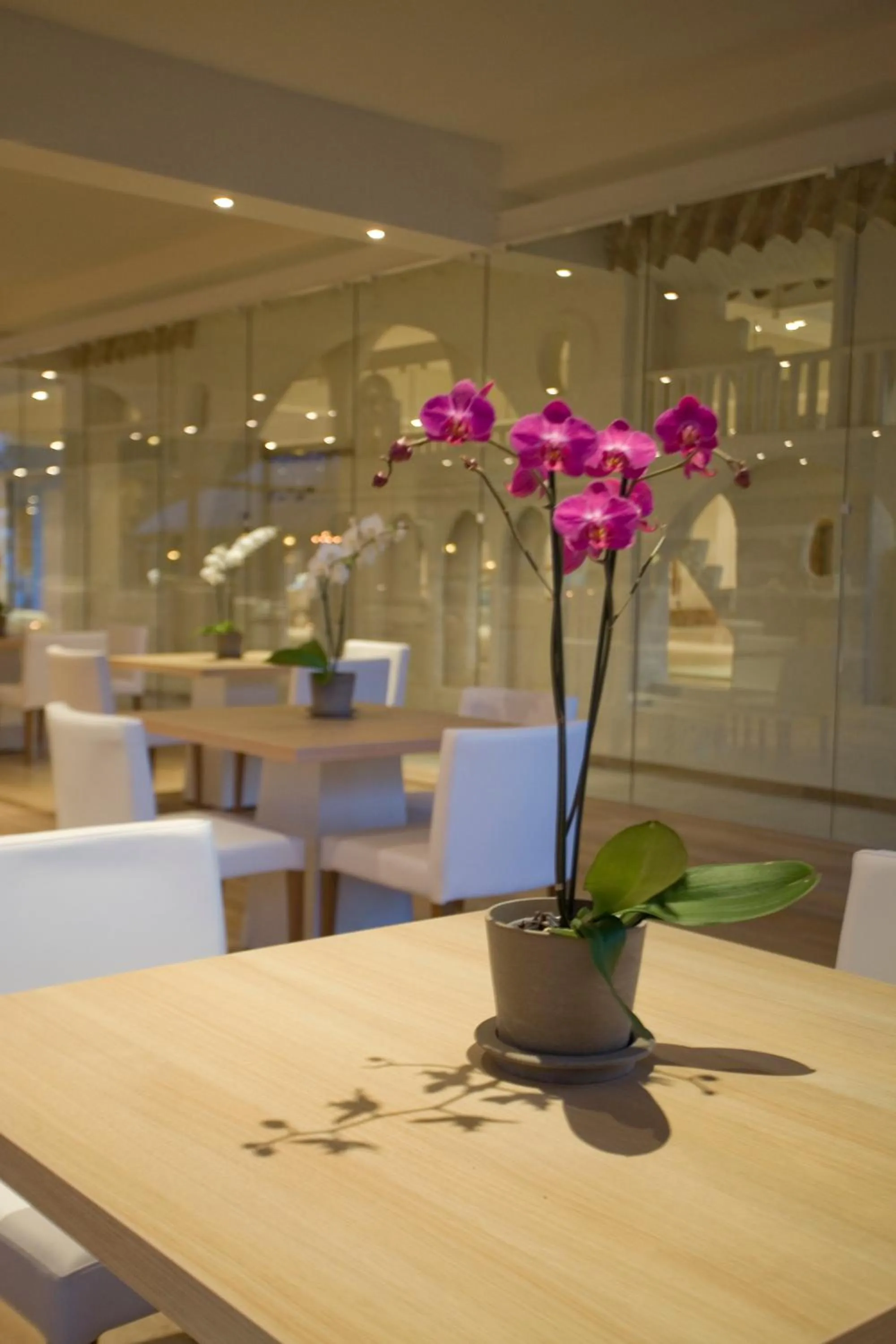 Restaurant/places to eat in Sandy Beach Hotel & Spa - ex Sentido