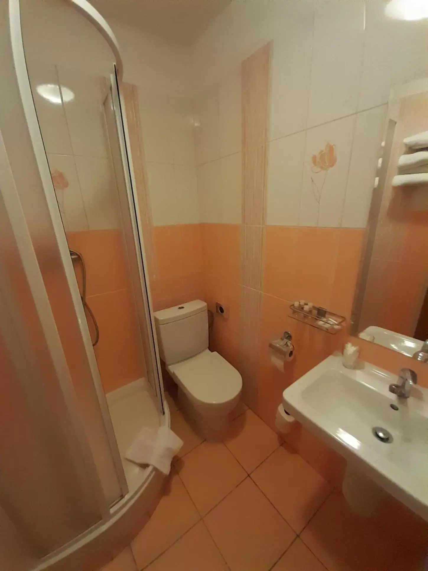 Bathroom in Hotel Brixen