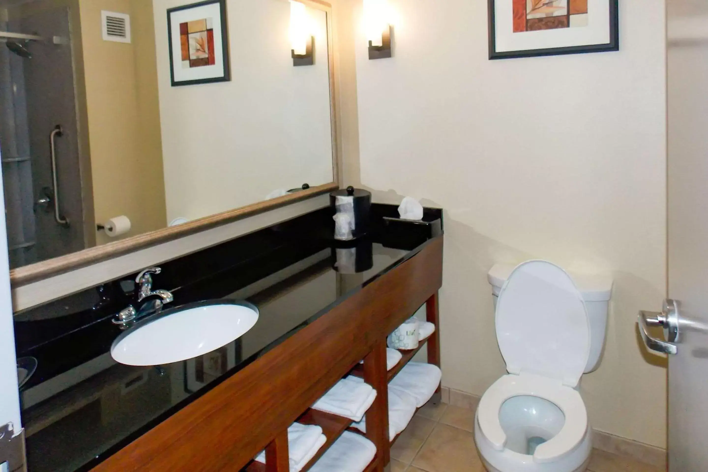 Bedroom, Bathroom in Comfort Suites Salem-Roanoke I-81