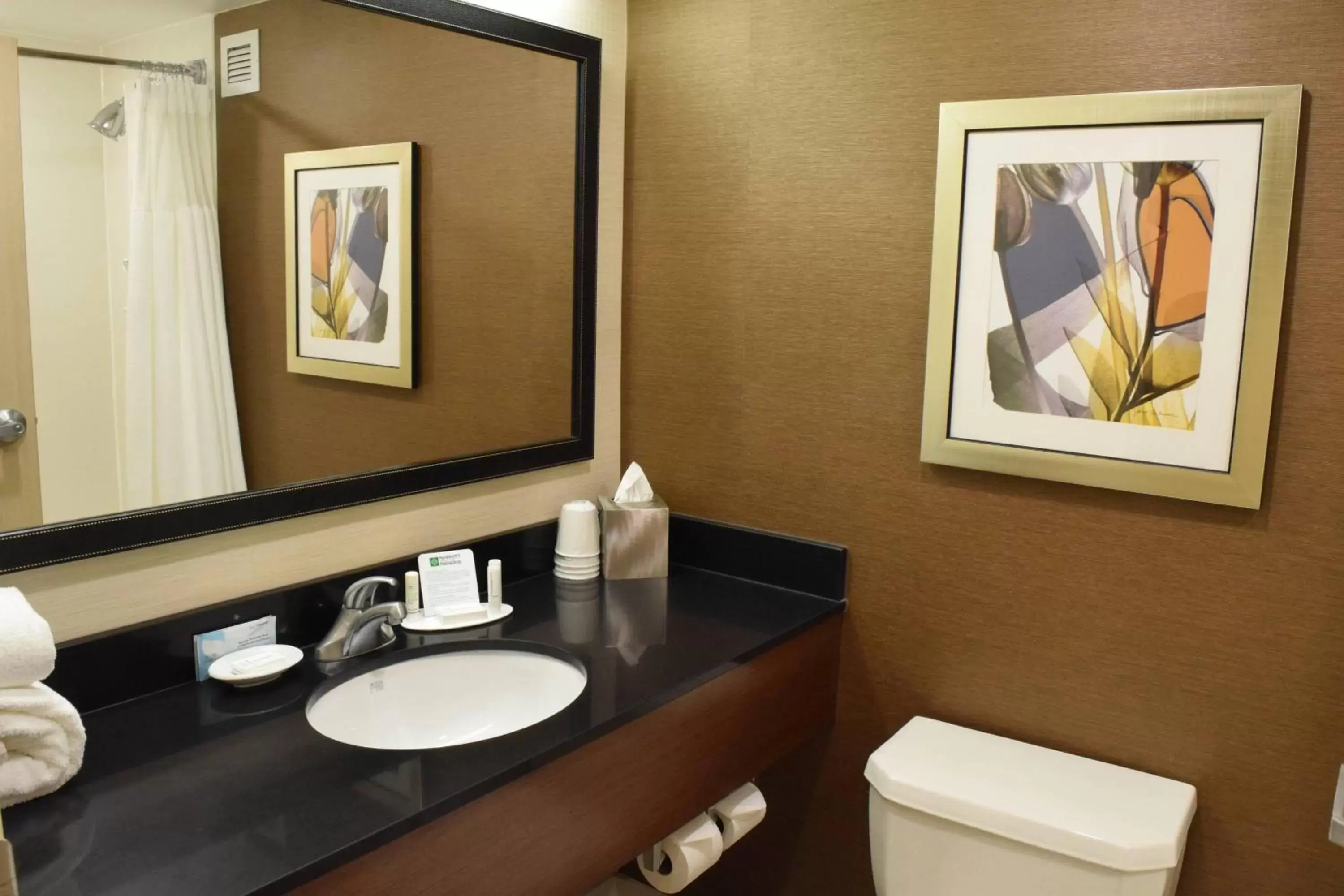 Bathroom in Fairfield Inn by Marriot Binghamton