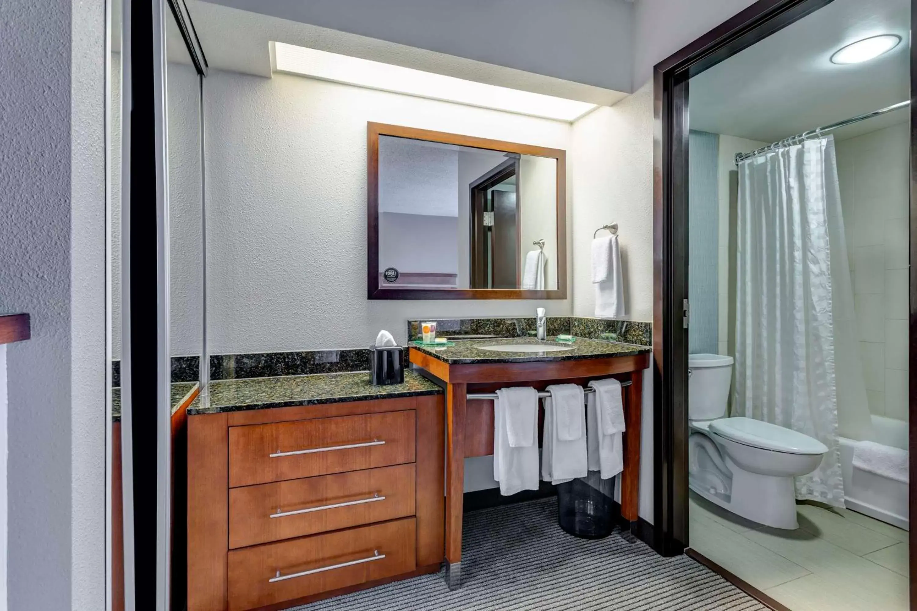 Bathroom in Hyatt Place Tempe Phoenix Airport