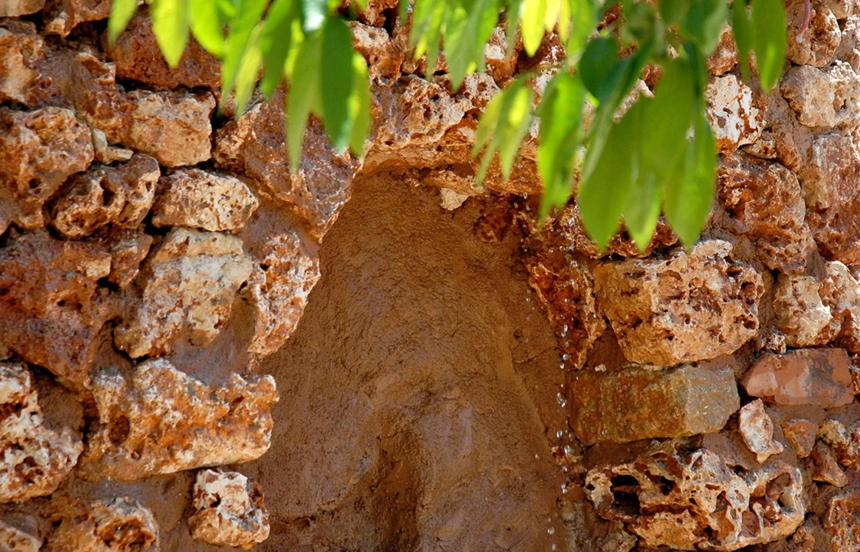 Day in Sa Vall Valldemossa