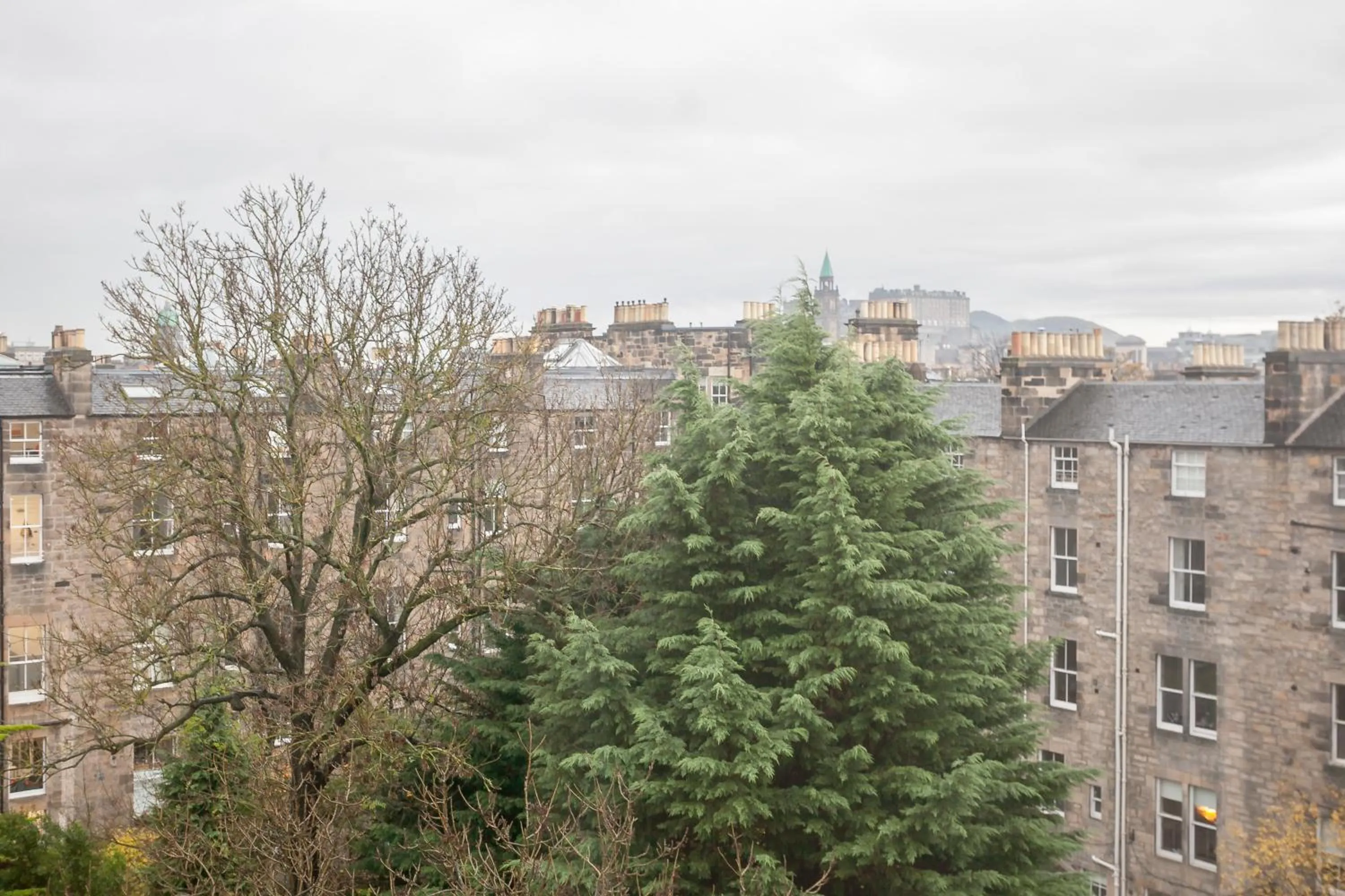 Natural landscape in West End Hotel