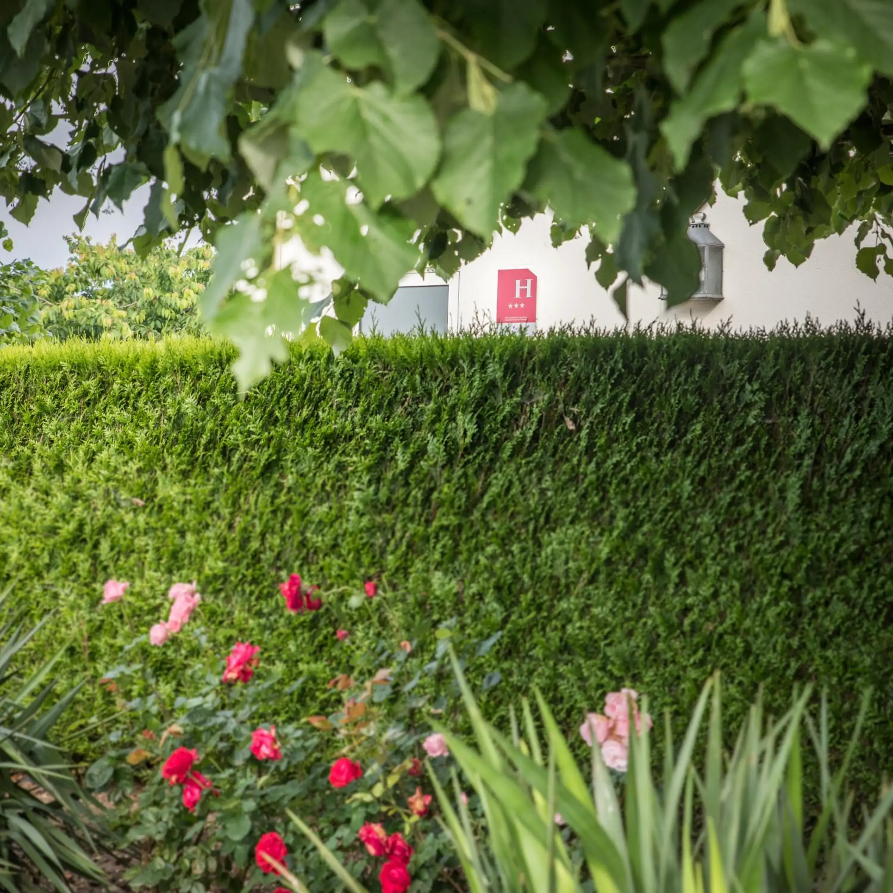 Garden view, Garden in Logis Hôtel des Châteaux