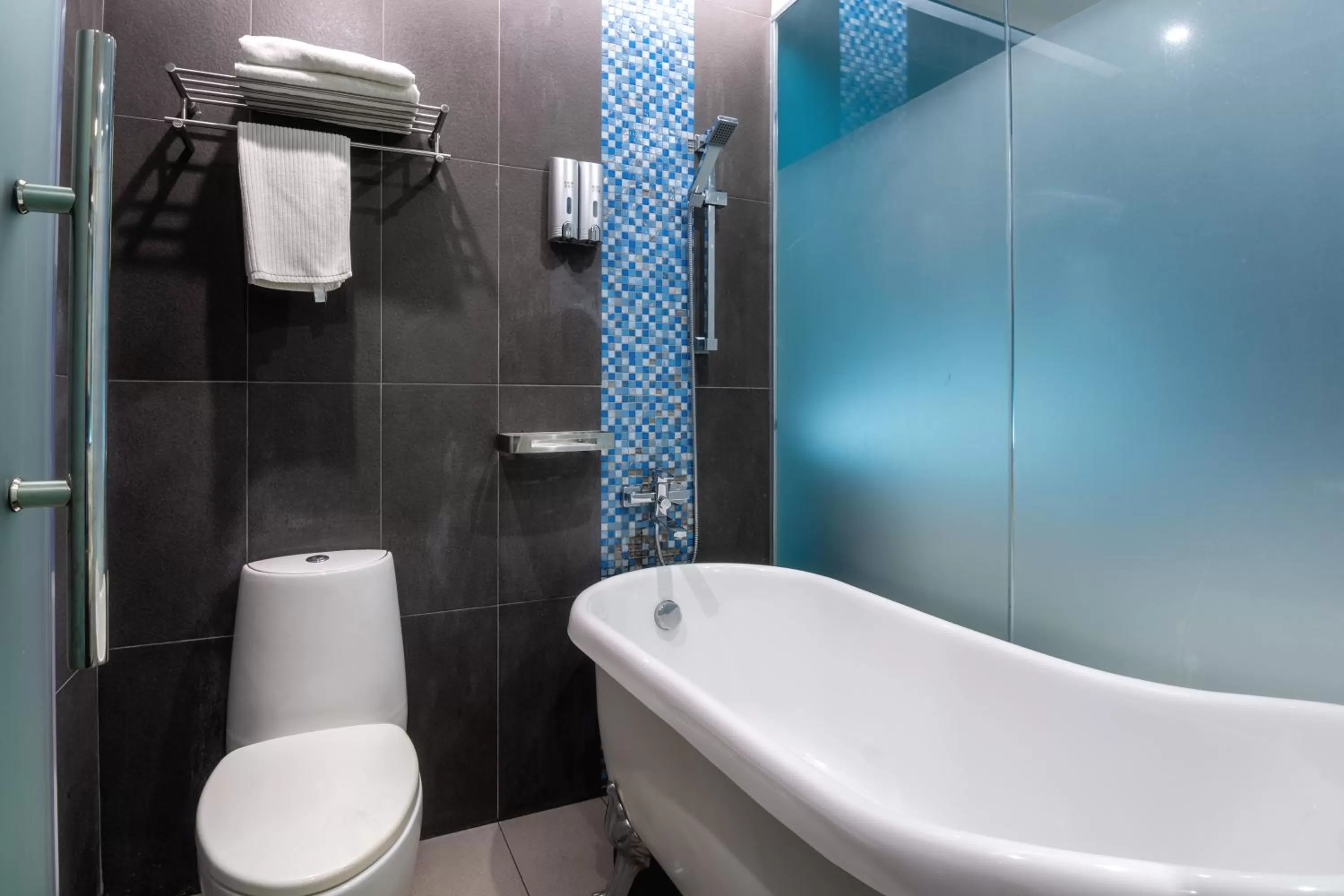 Shower in Apple Hotel Times Square