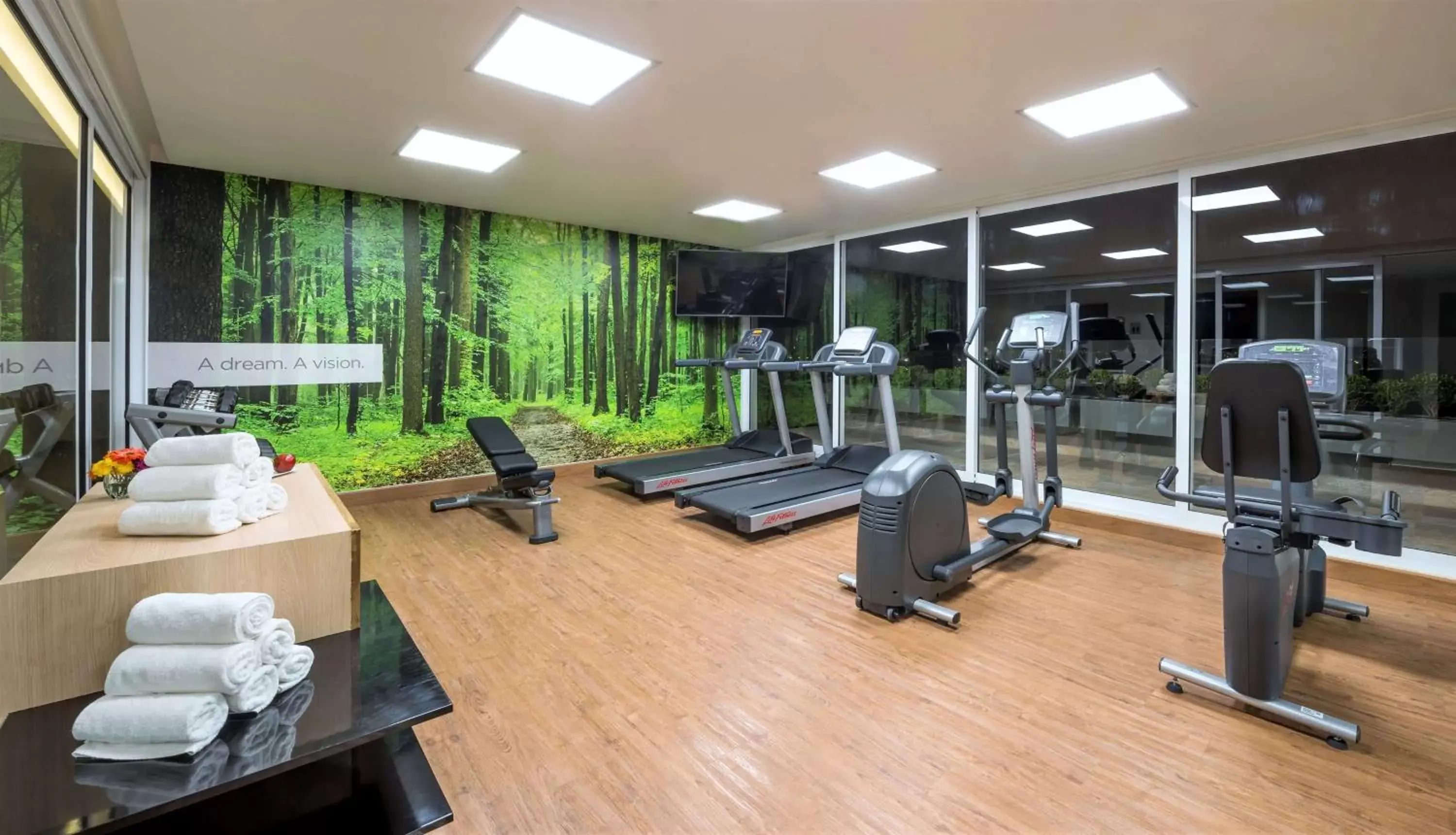 Fitness centre/facilities, Fitness Center/Facilities in Doubletree By Hilton Guadalajara Centro Historico, Mexico