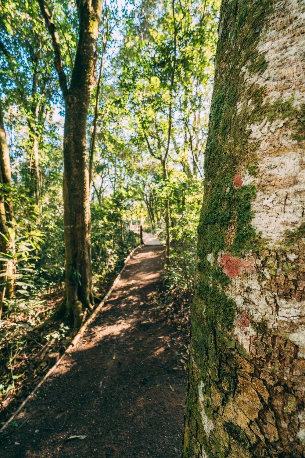 Hiking in Pousada Trem Chic