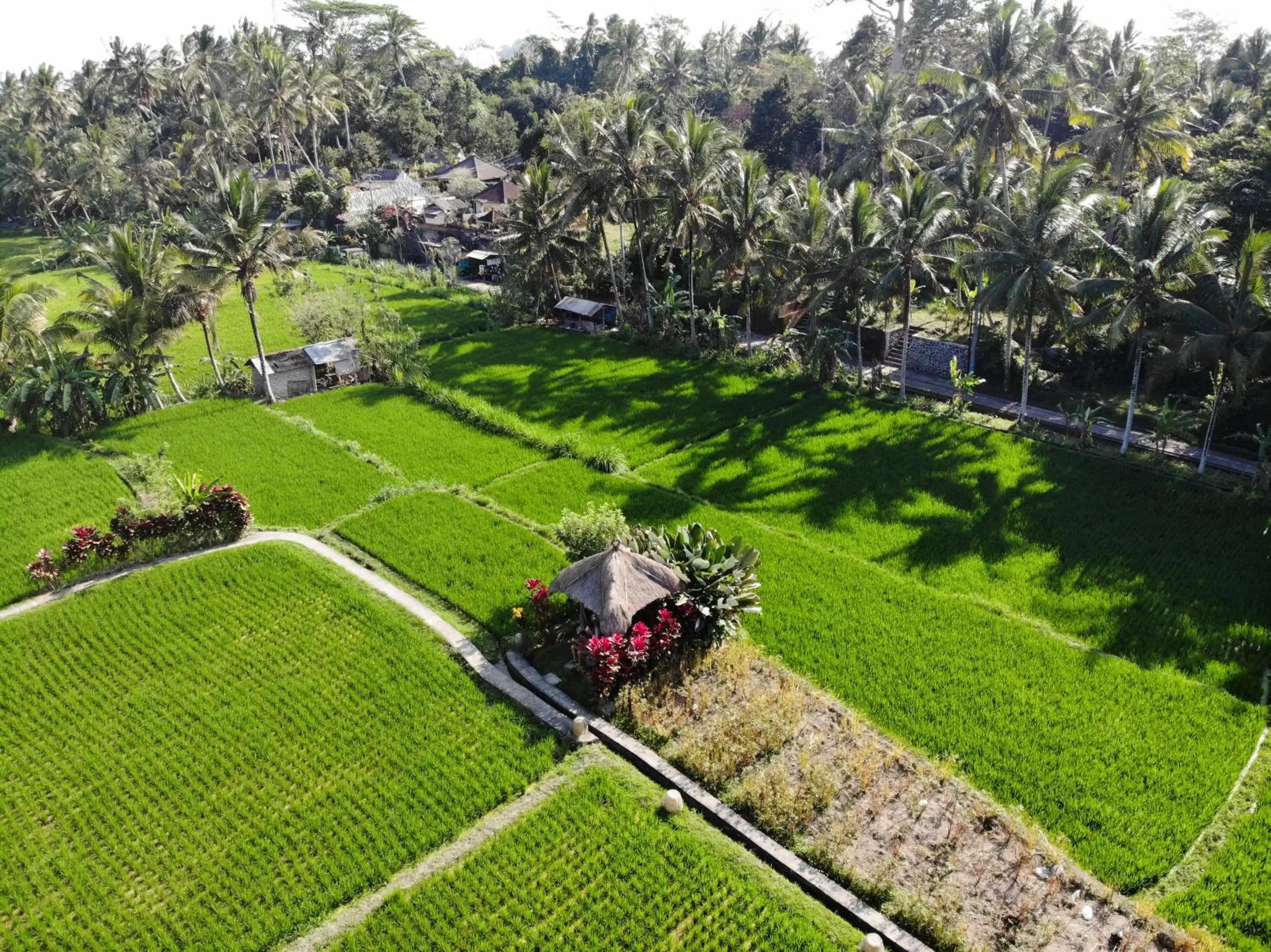 Natural landscape, Bird's-eye View in MATHIS Retreat Ubud