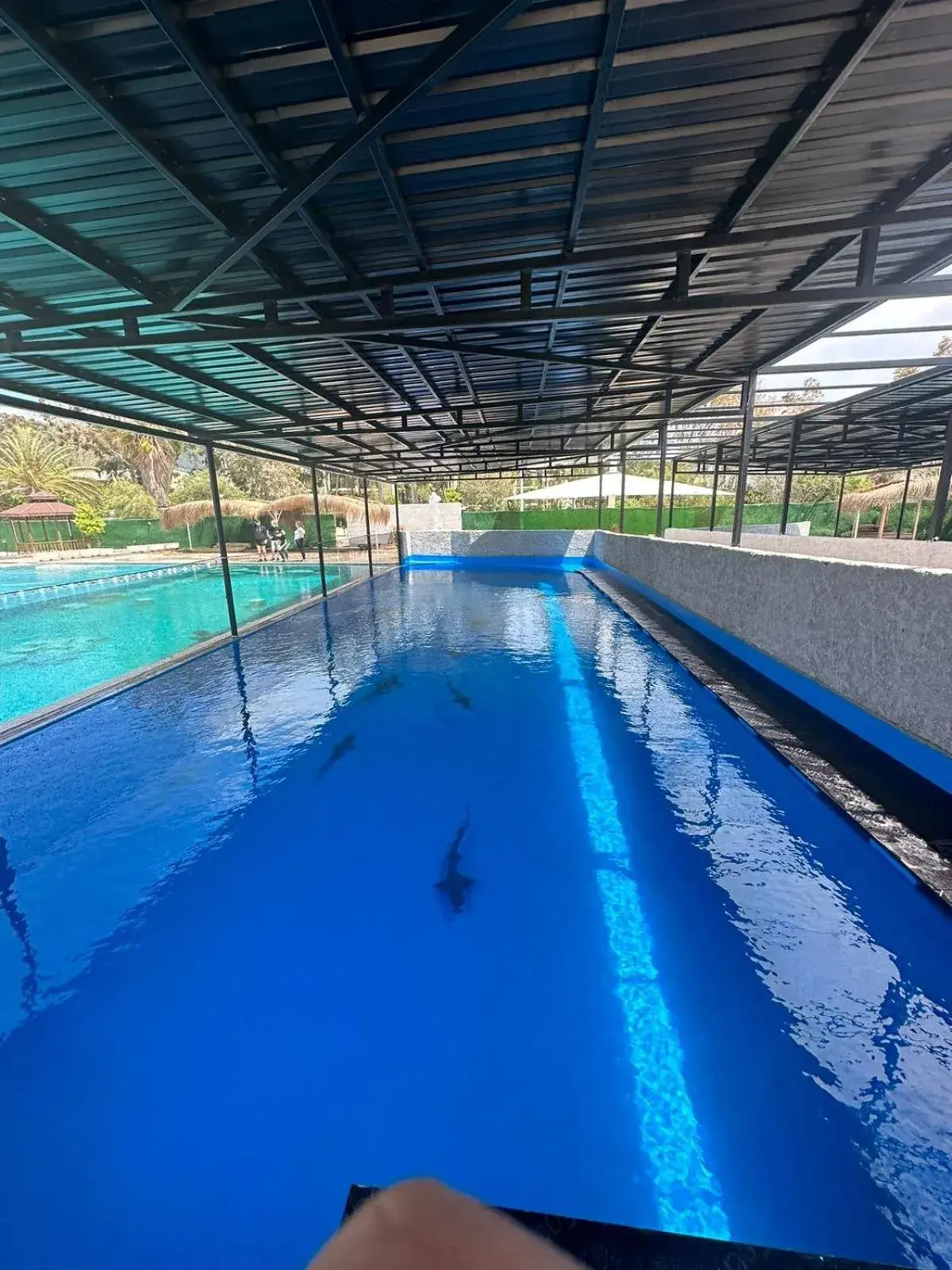 Pool view, Swimming Pool in Miarosa Kemer Beach