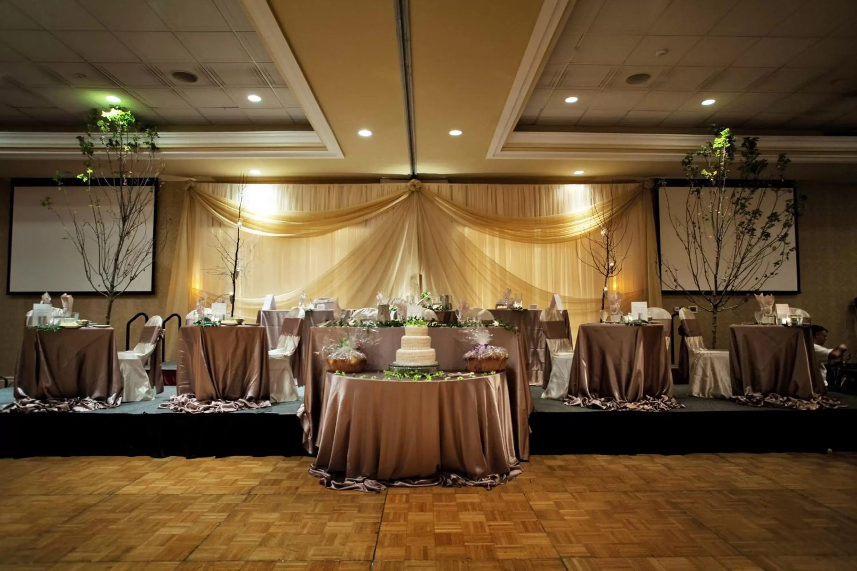 Banquet/Function facilities, Banquet Facilities in Holiday Inn Hotel & Suites St.Catharines-Niagara, an IHG Hotel