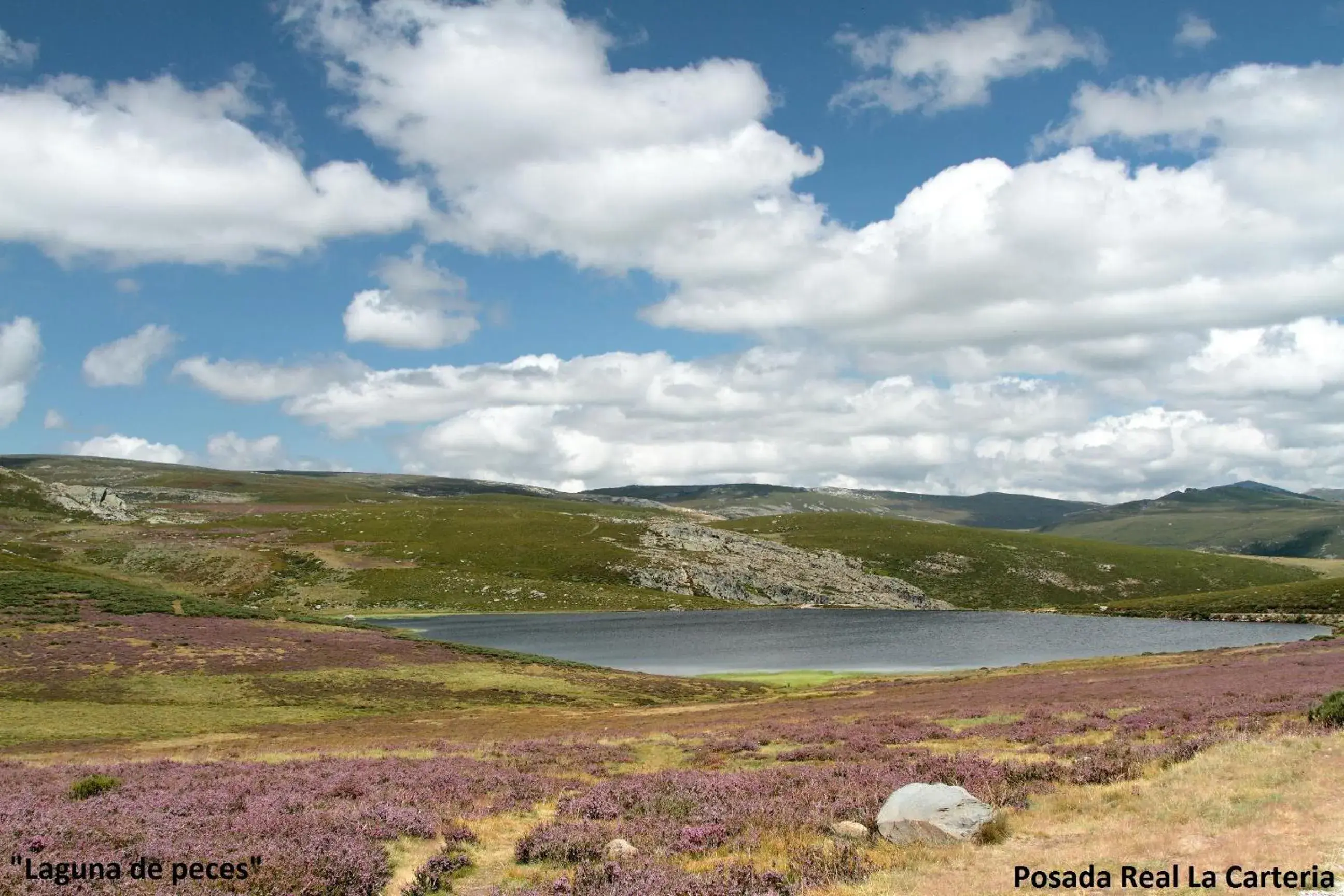 Area and facilities, Natural Landscape in Posada Real La Carteria