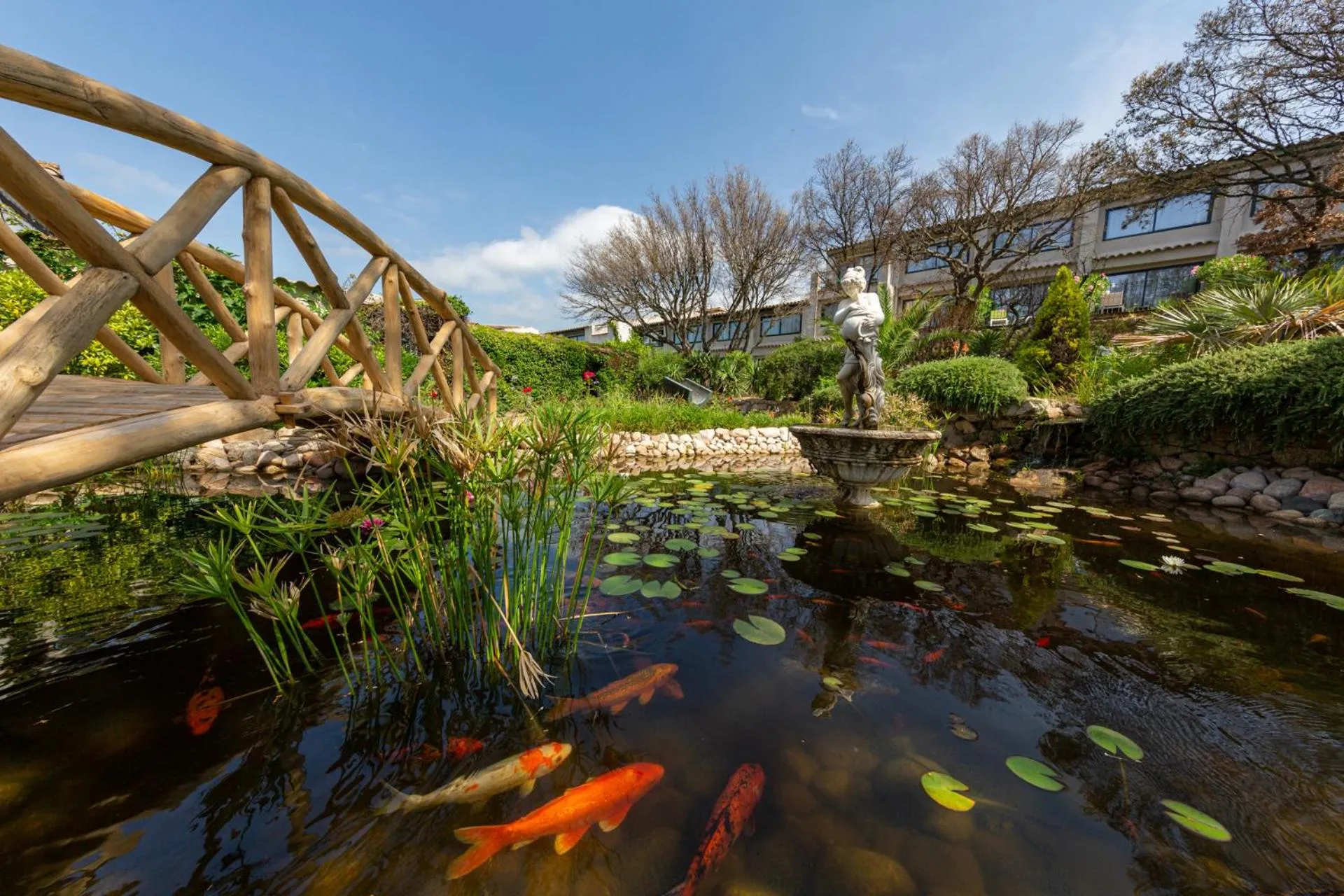 Garden in Hôtel Le Roi Théodore & Spa
