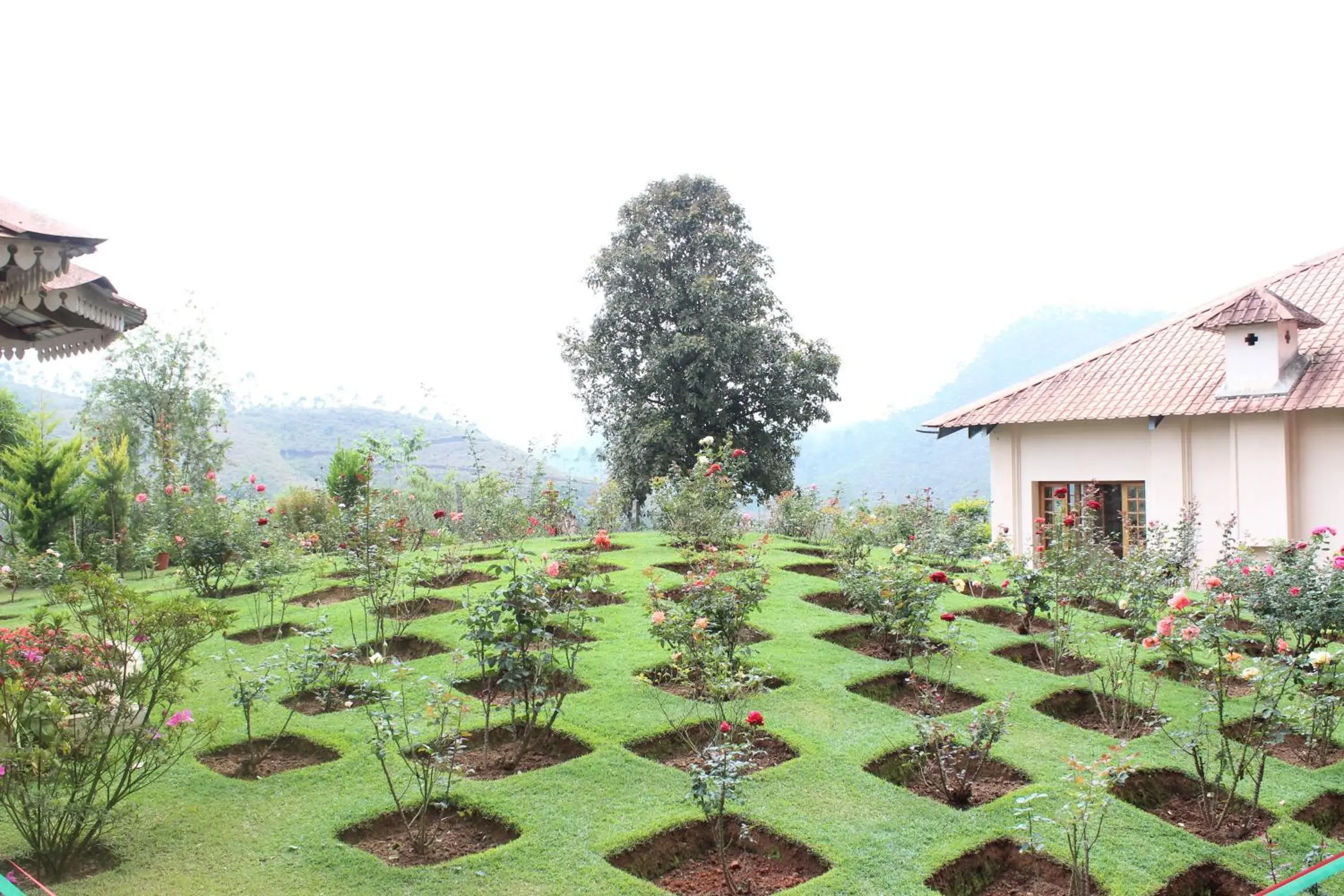 View (from property/room) in Ktdc Tea County Resort