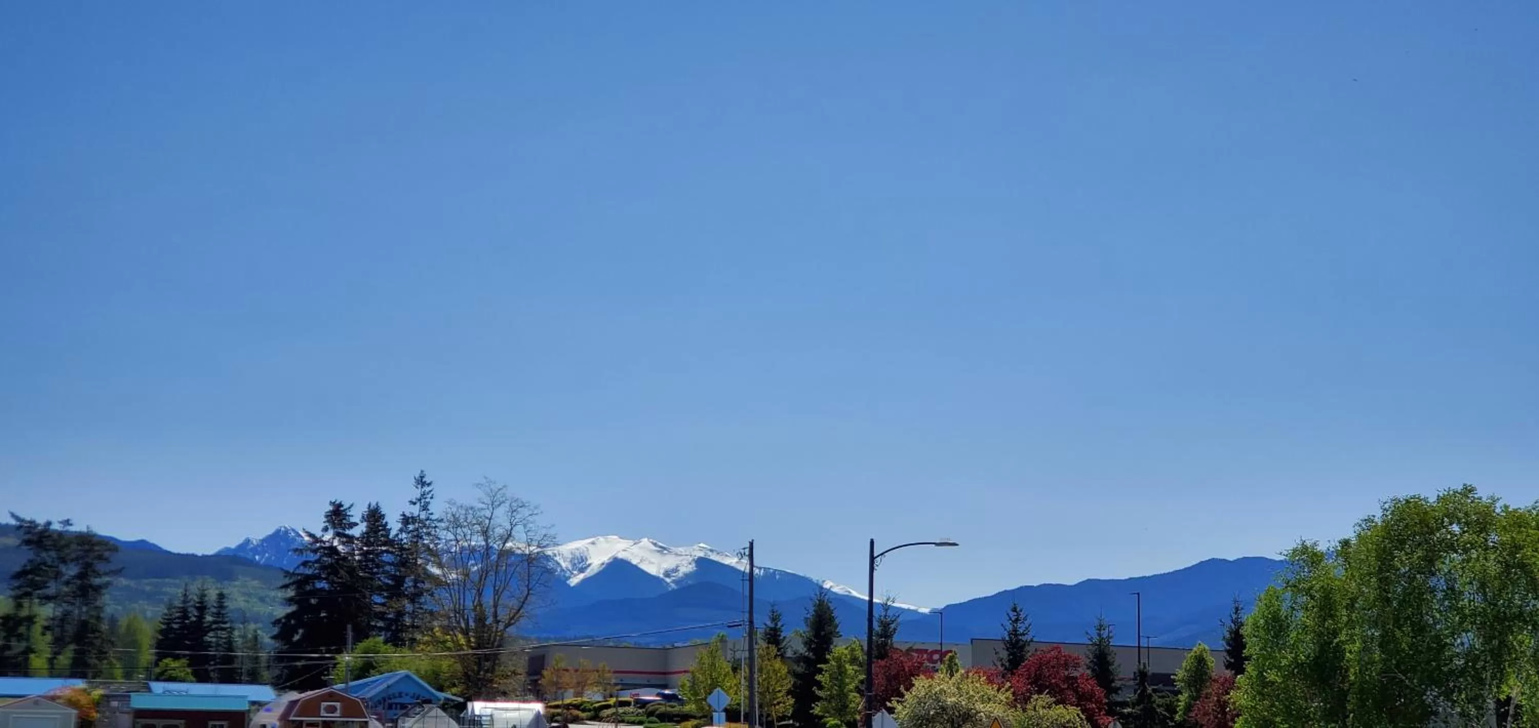 Mountain view in Olympic View Inn