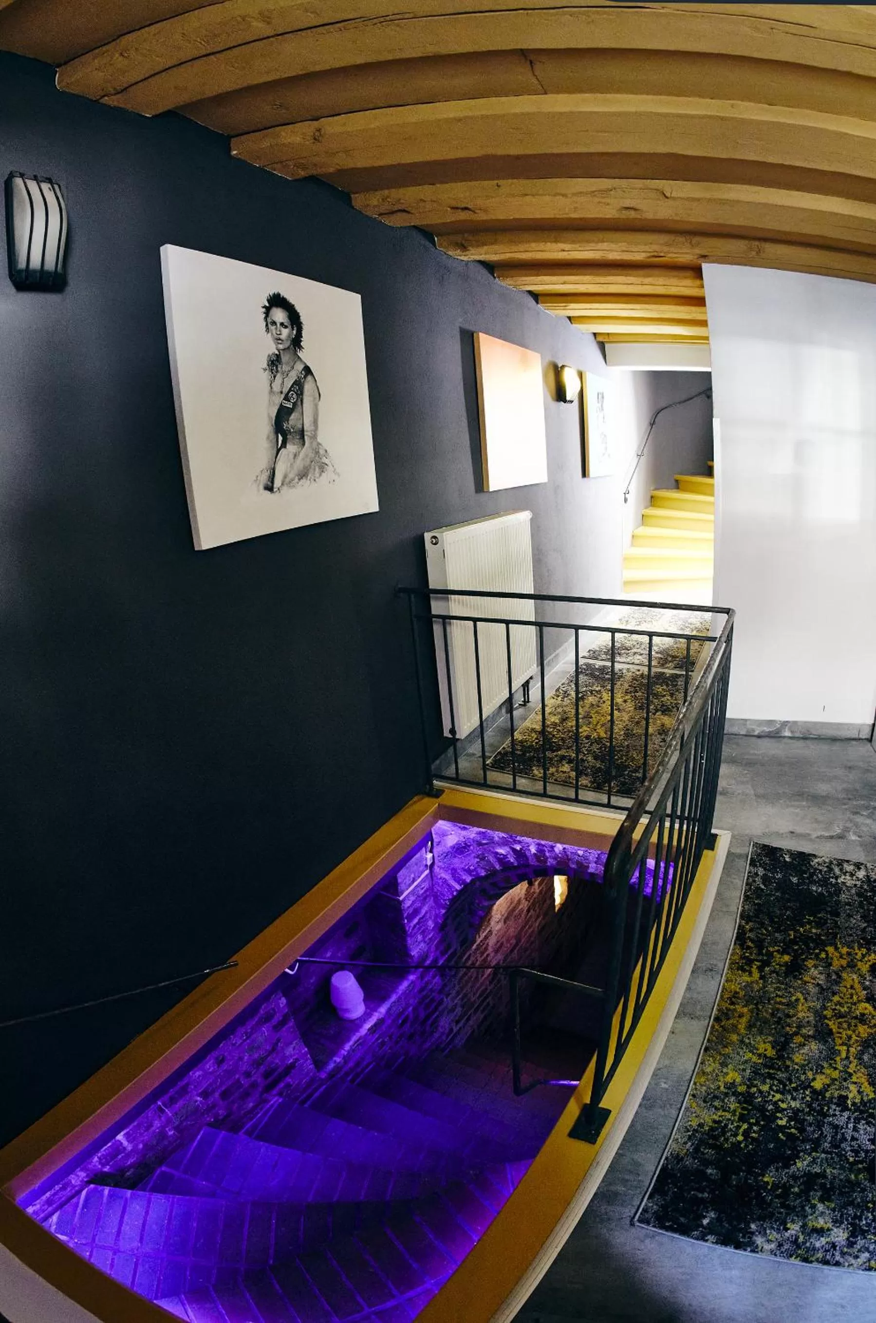 Meeting/conference room, Bed in Hotel Elch