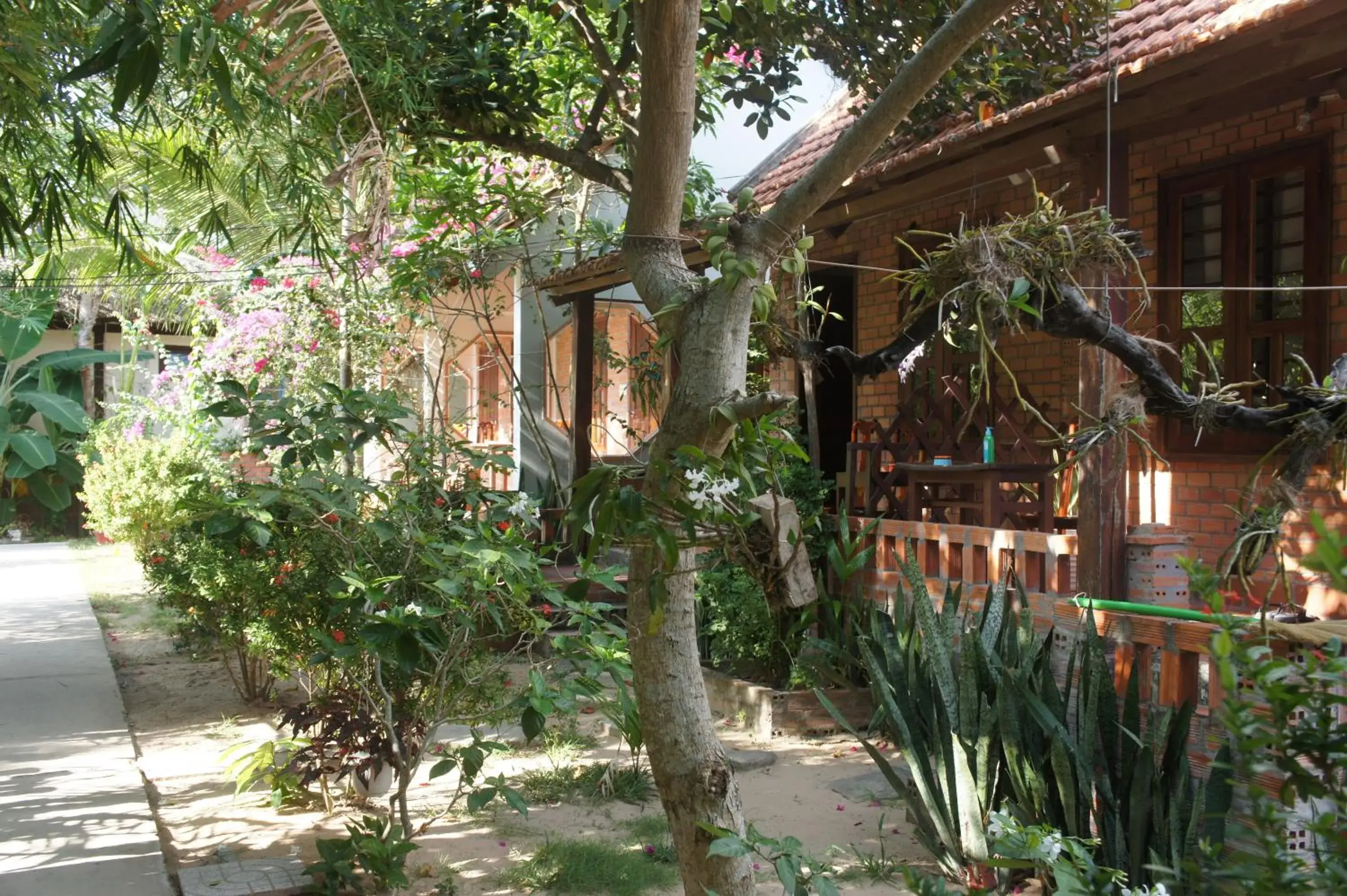 Garden, Property Building in Phu Quoc Kim - Bungalow On The Beach