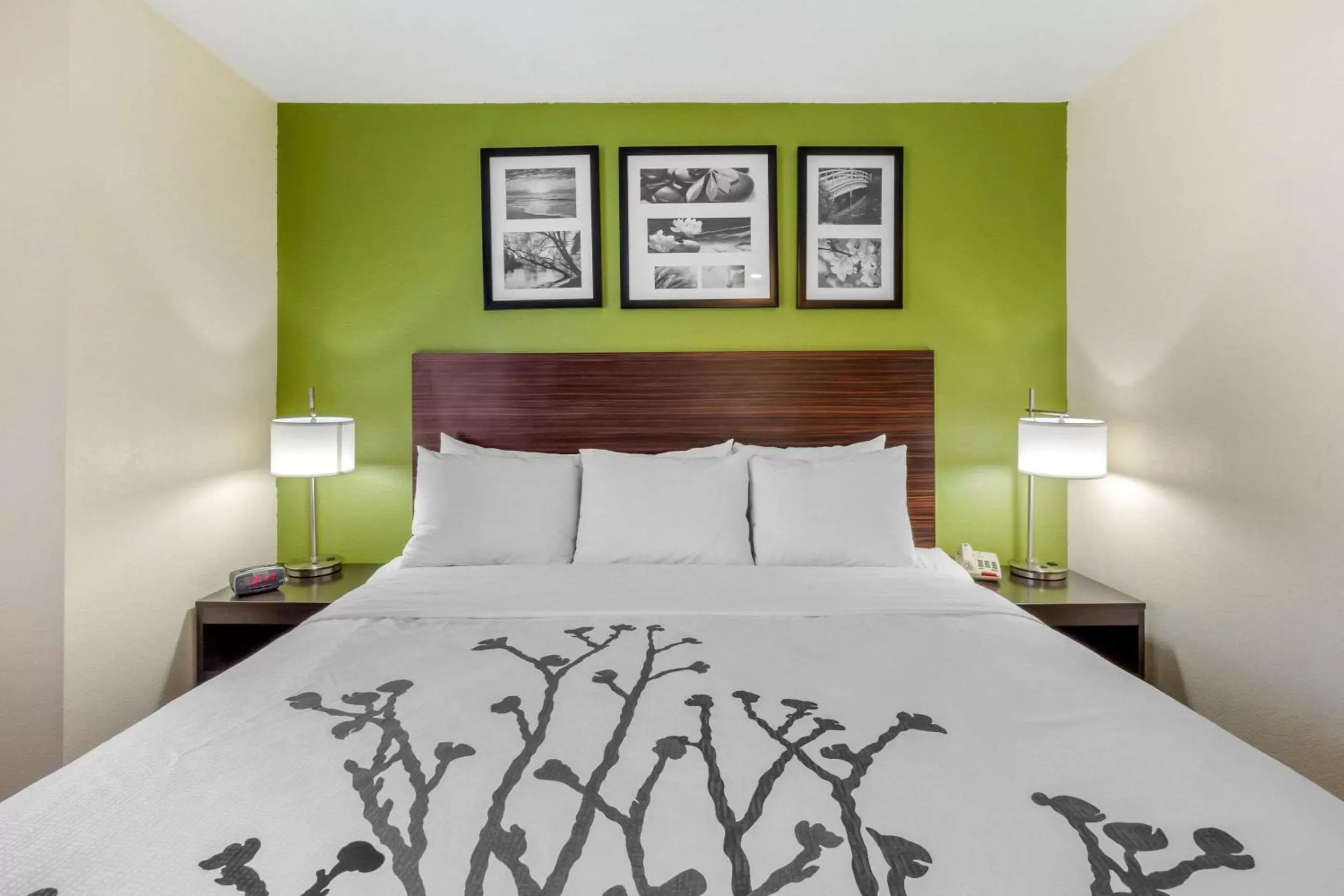 Photo of the whole room, Bed in Sleep Inn Ogden near Event Center Photo of the whole room, Bed in Sleep Inn Ogden near Event Center