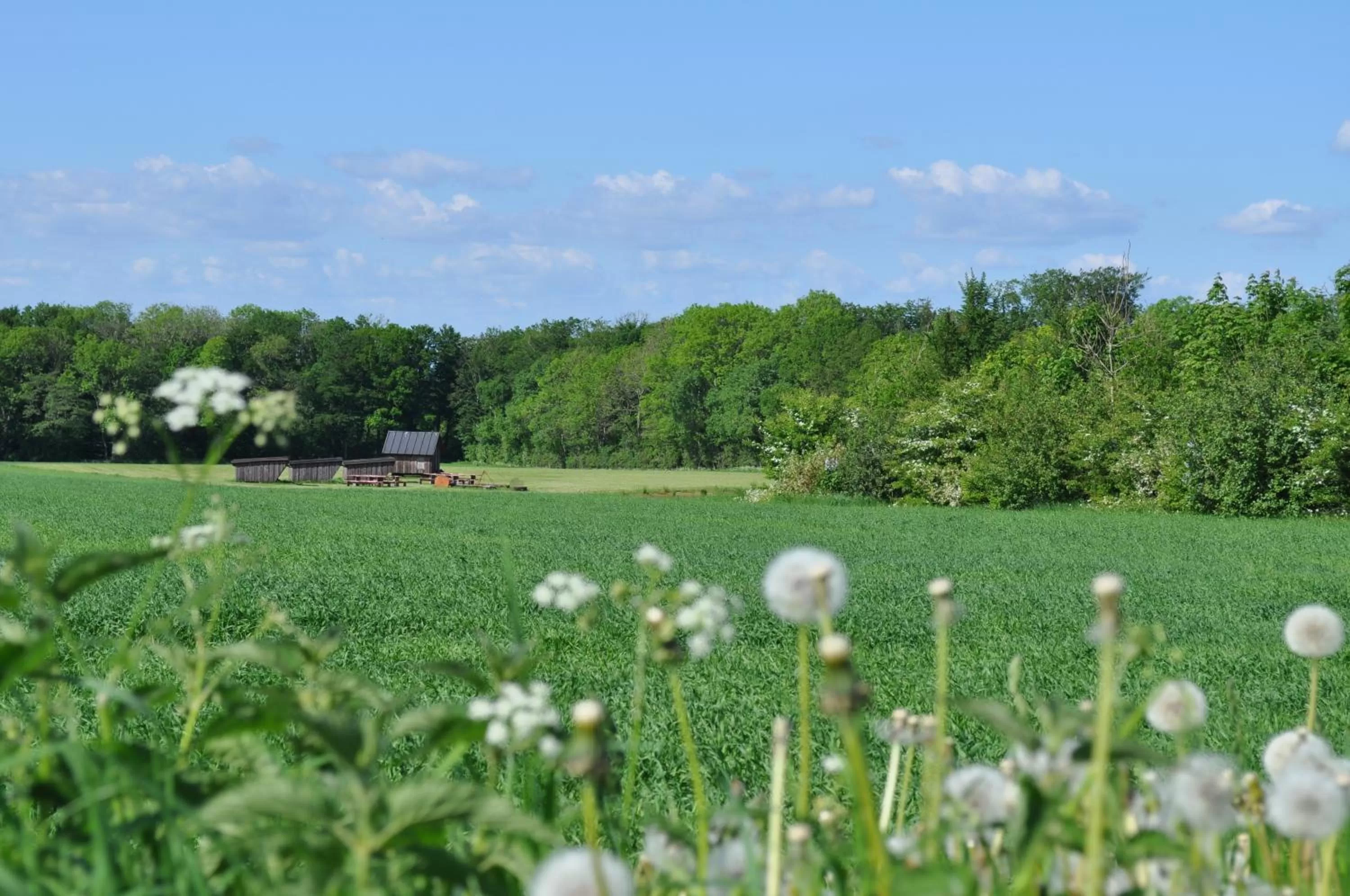 Area and facilities in Koebenhovedskov Bed & Breakfast