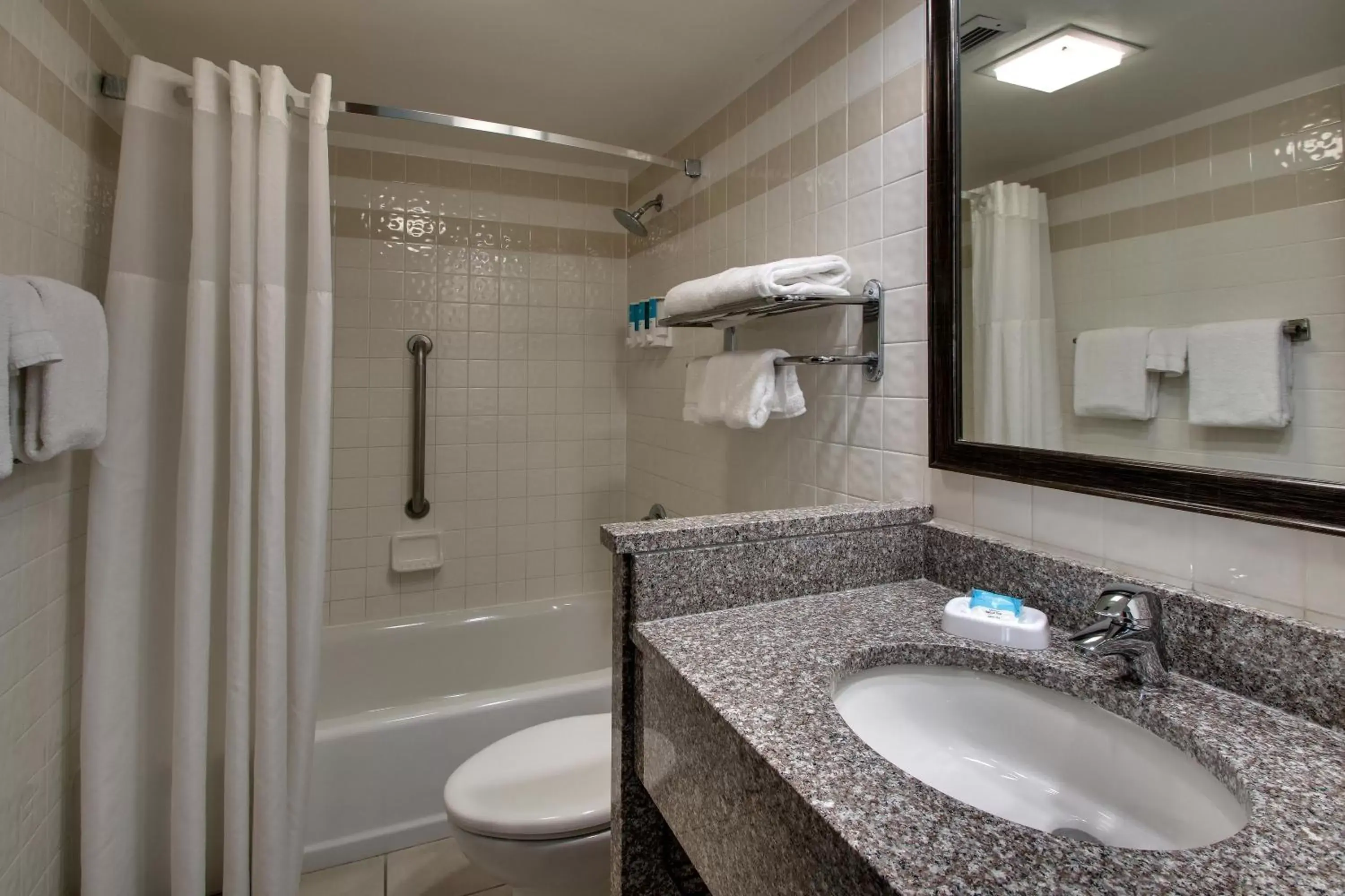 Bathroom in GreenTree Hotel - Houston Hobby Airport