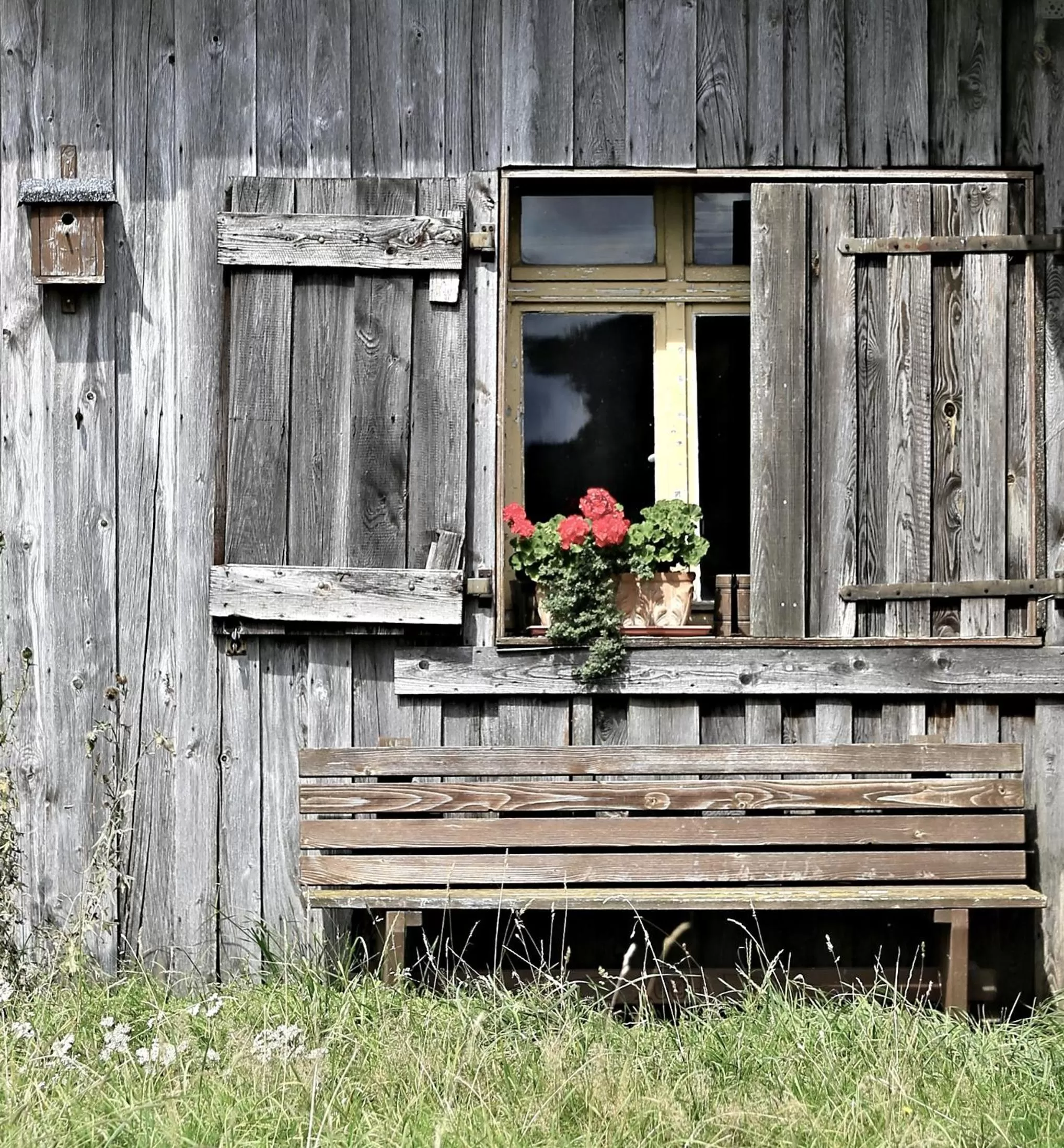Area and facilities in Limes Hotel