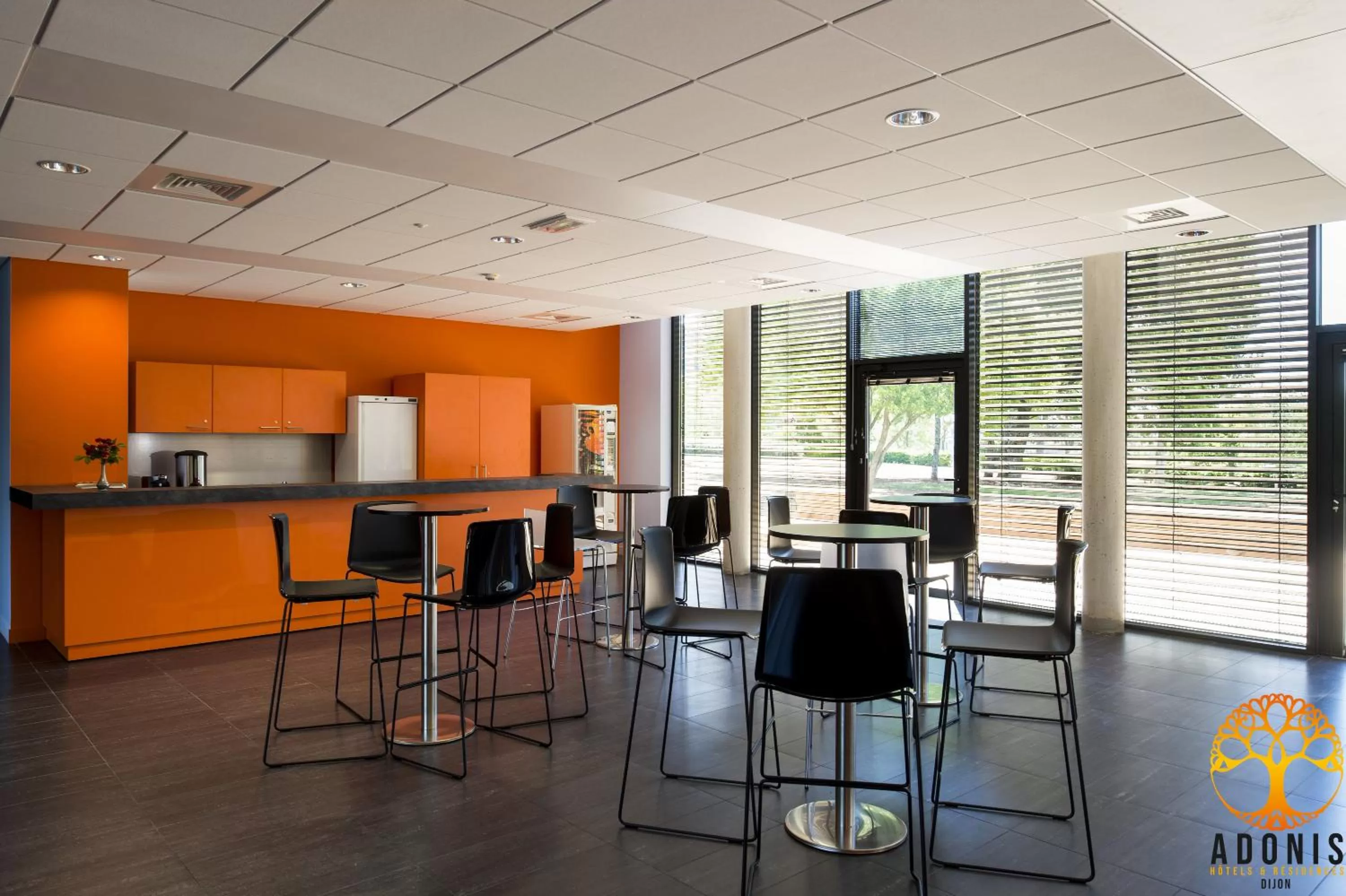 Adonis Dijon Maison Internationale