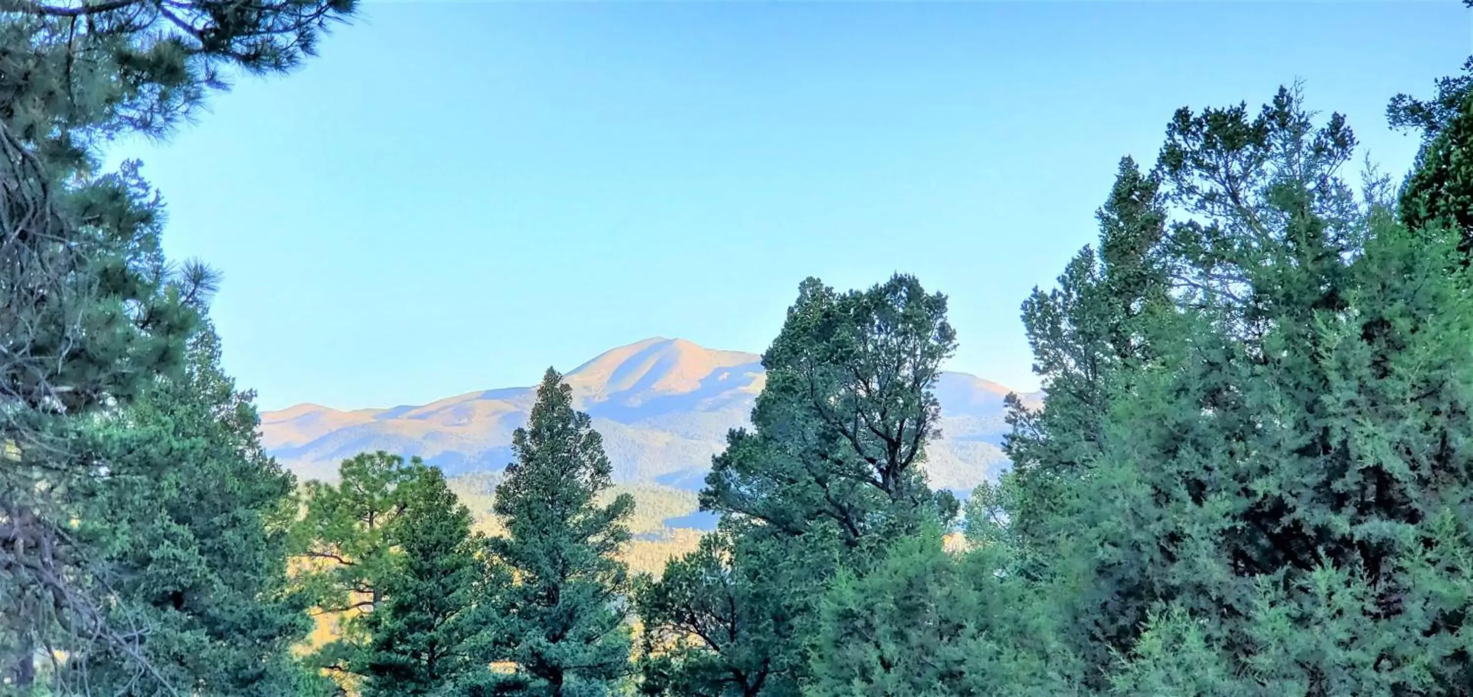 View (from property/room), Mountain View in High Sierra Condominiums