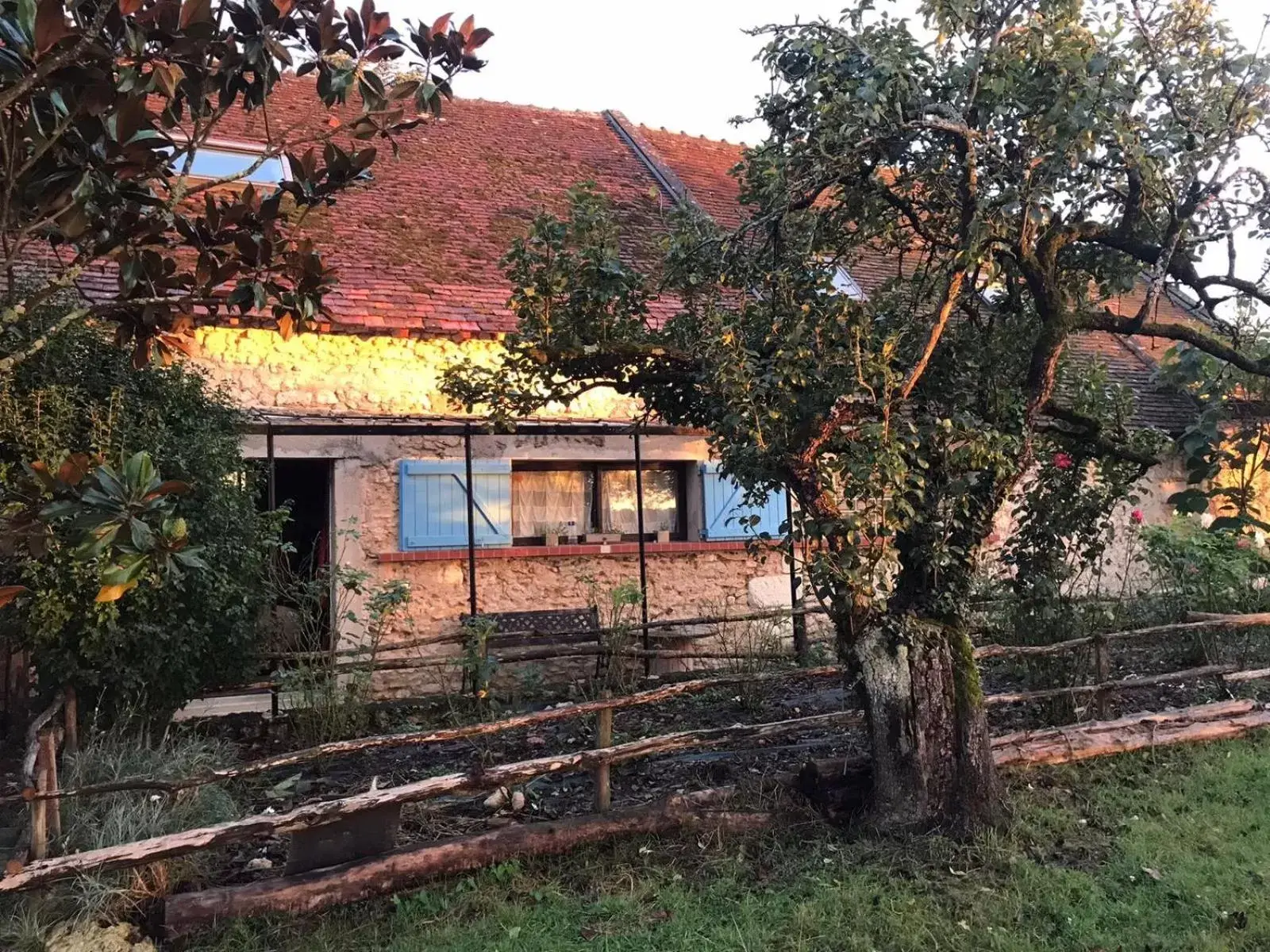 Property Building in Chez Gustave & Compagnie