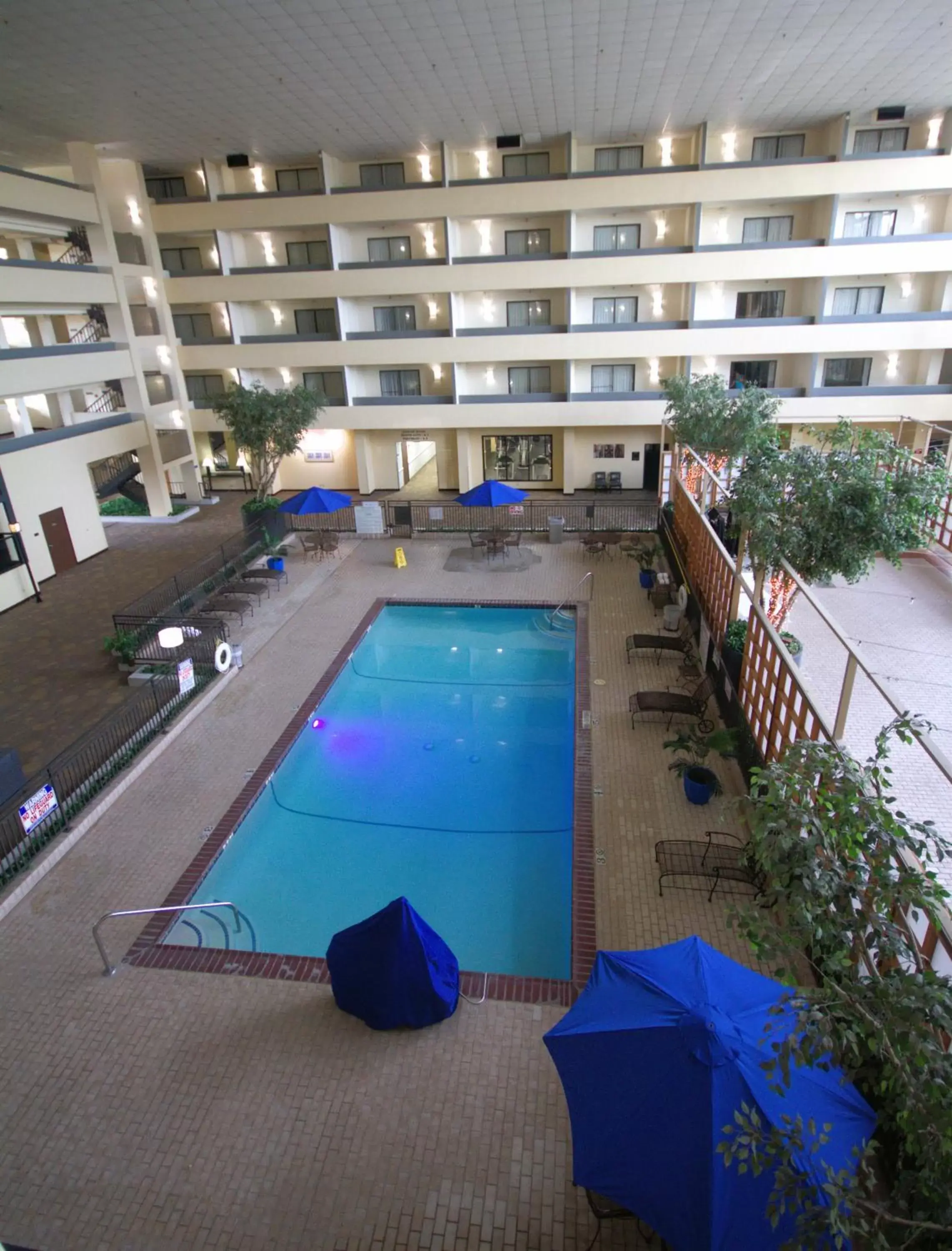 Swimming pool, Pool View in Atrium Hotel and Suites DFW Airport