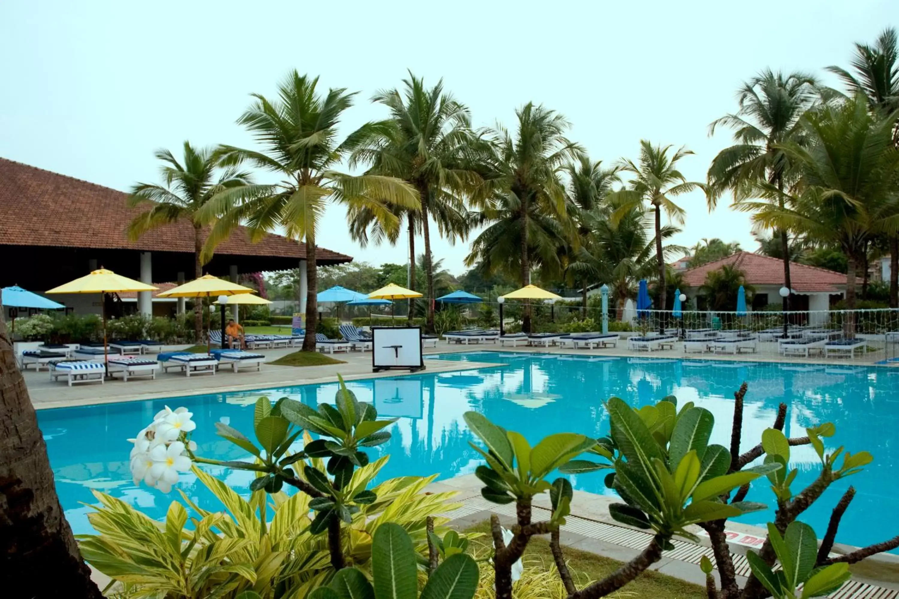 Day, Swimming Pool in Novotel Goa Dona Sylvia Resort