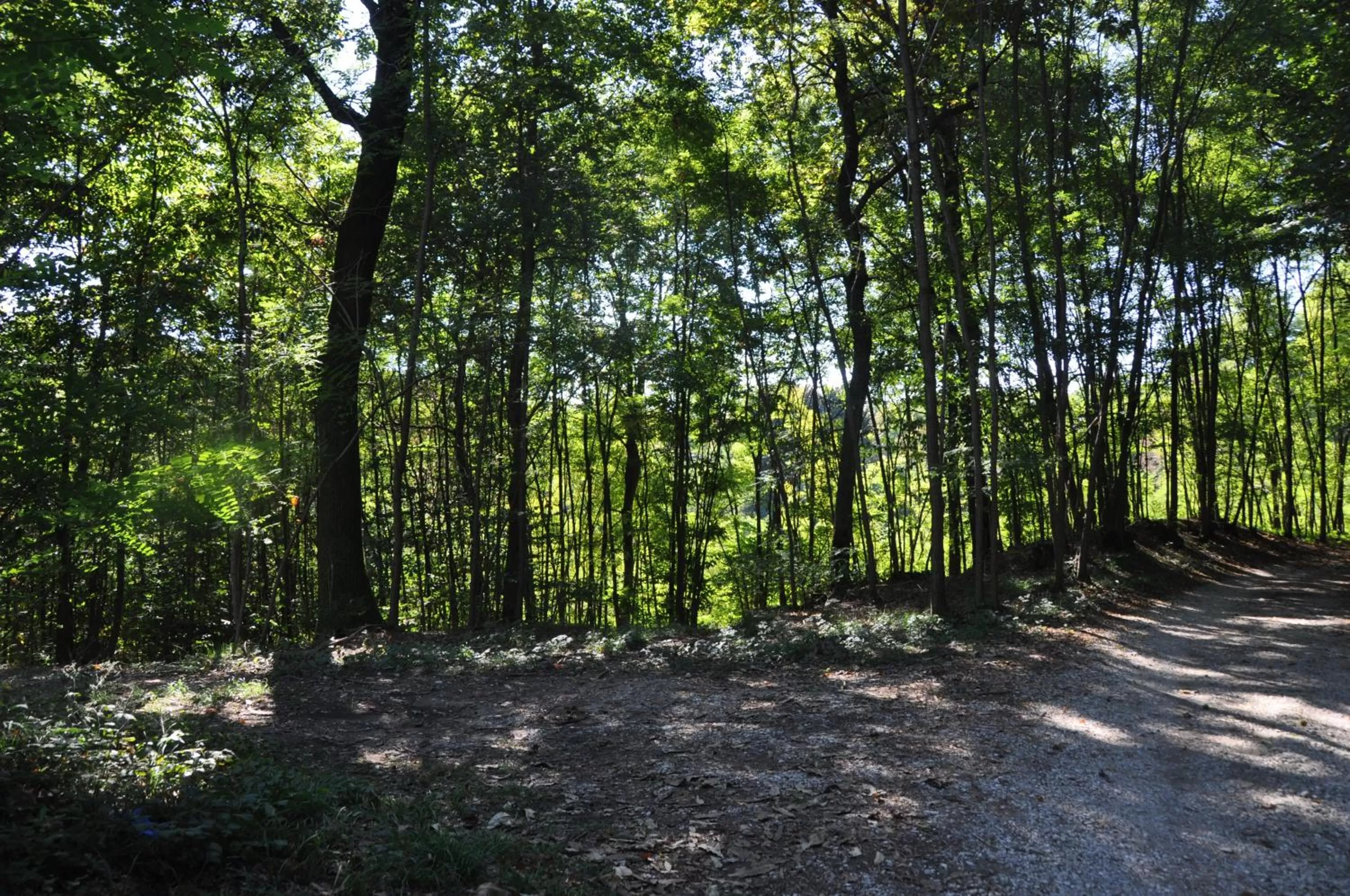 Natural landscape, Garden in Villa Fior di Robinia