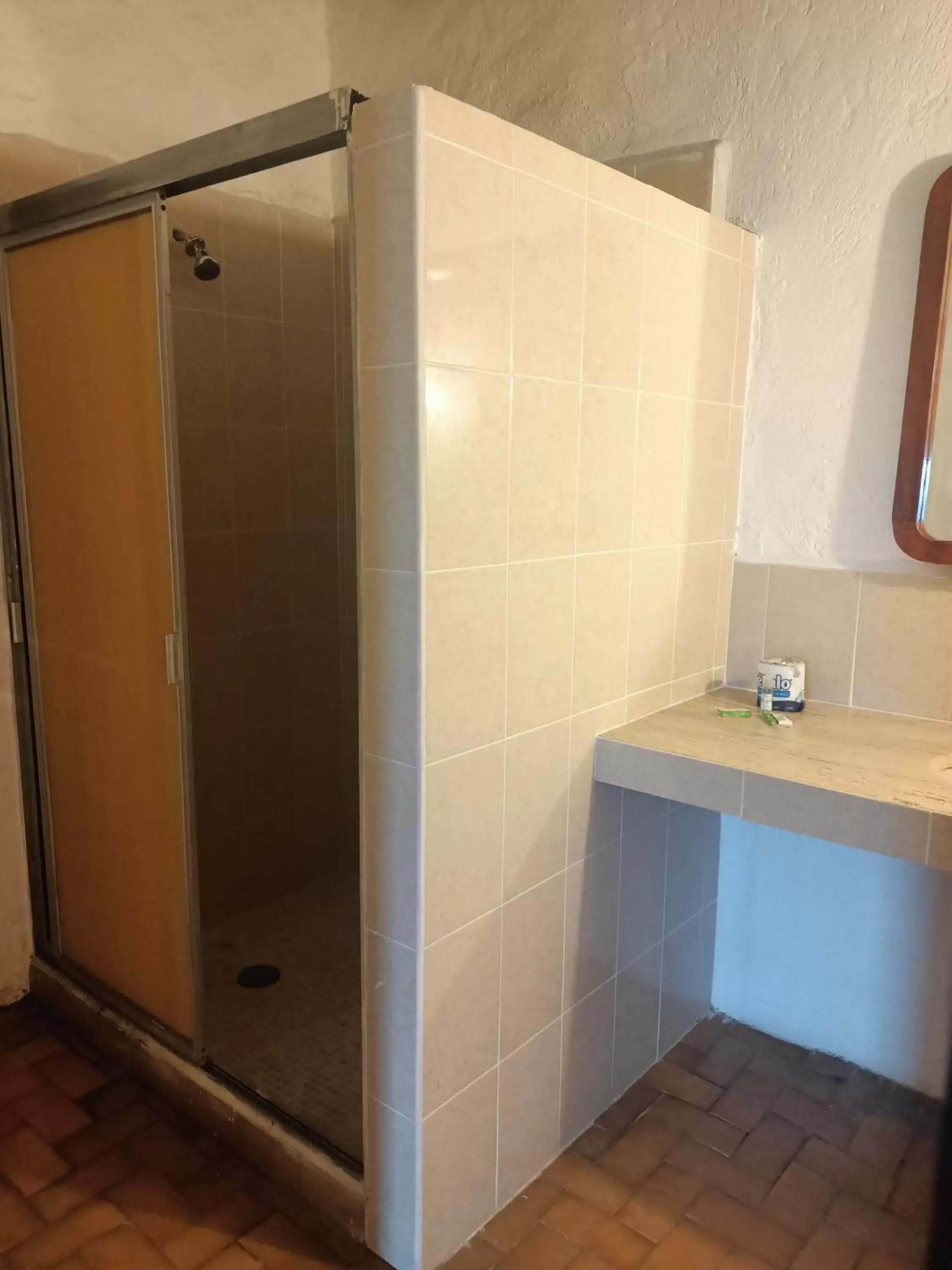 Shower, Bathroom in hotel plaza tucanes