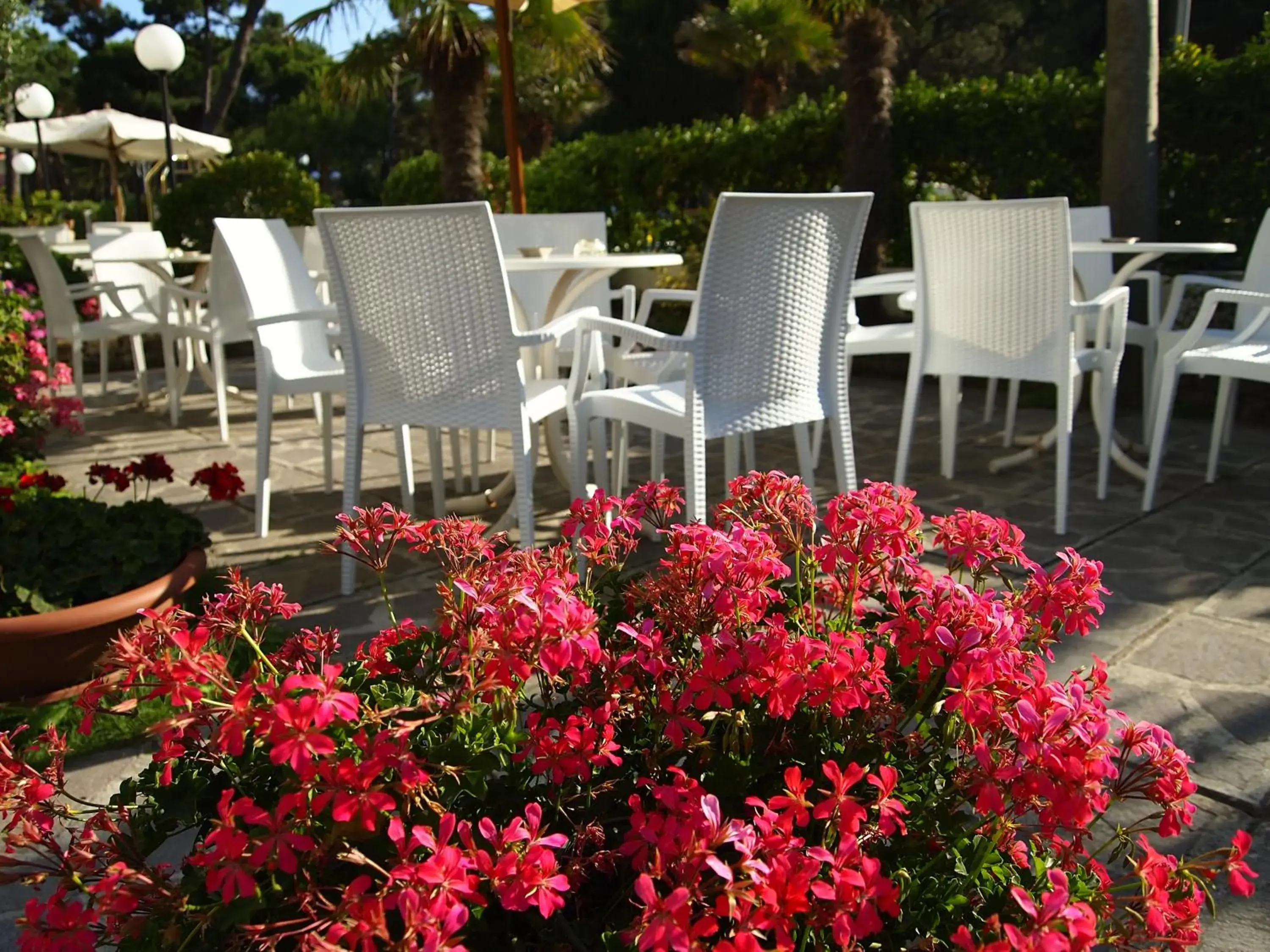 Garden in Hotel Ridolfi