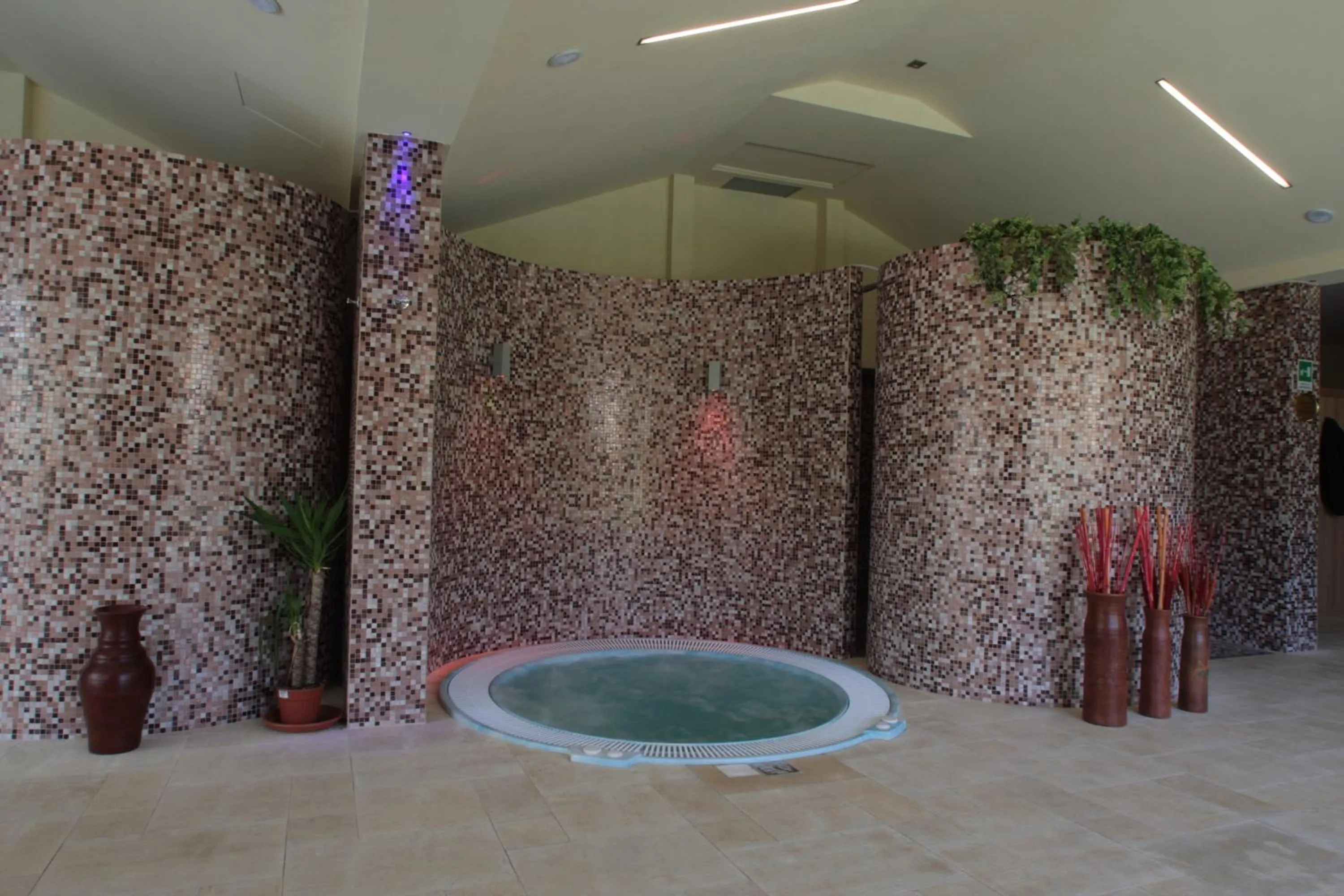 Spa and wellness centre/facilities in Palace Hotel San Michele