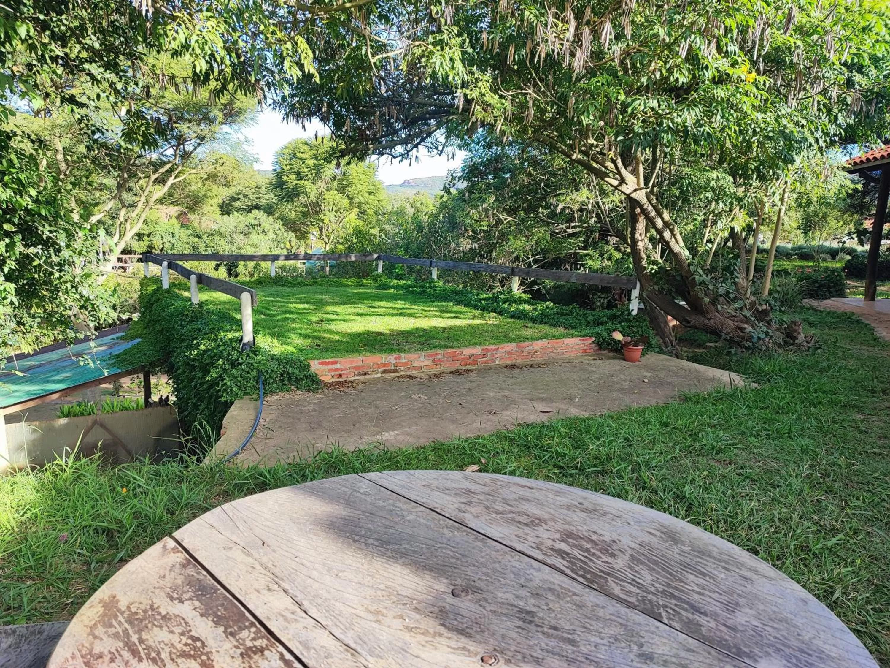 Garden in YVY CASA HOTEL