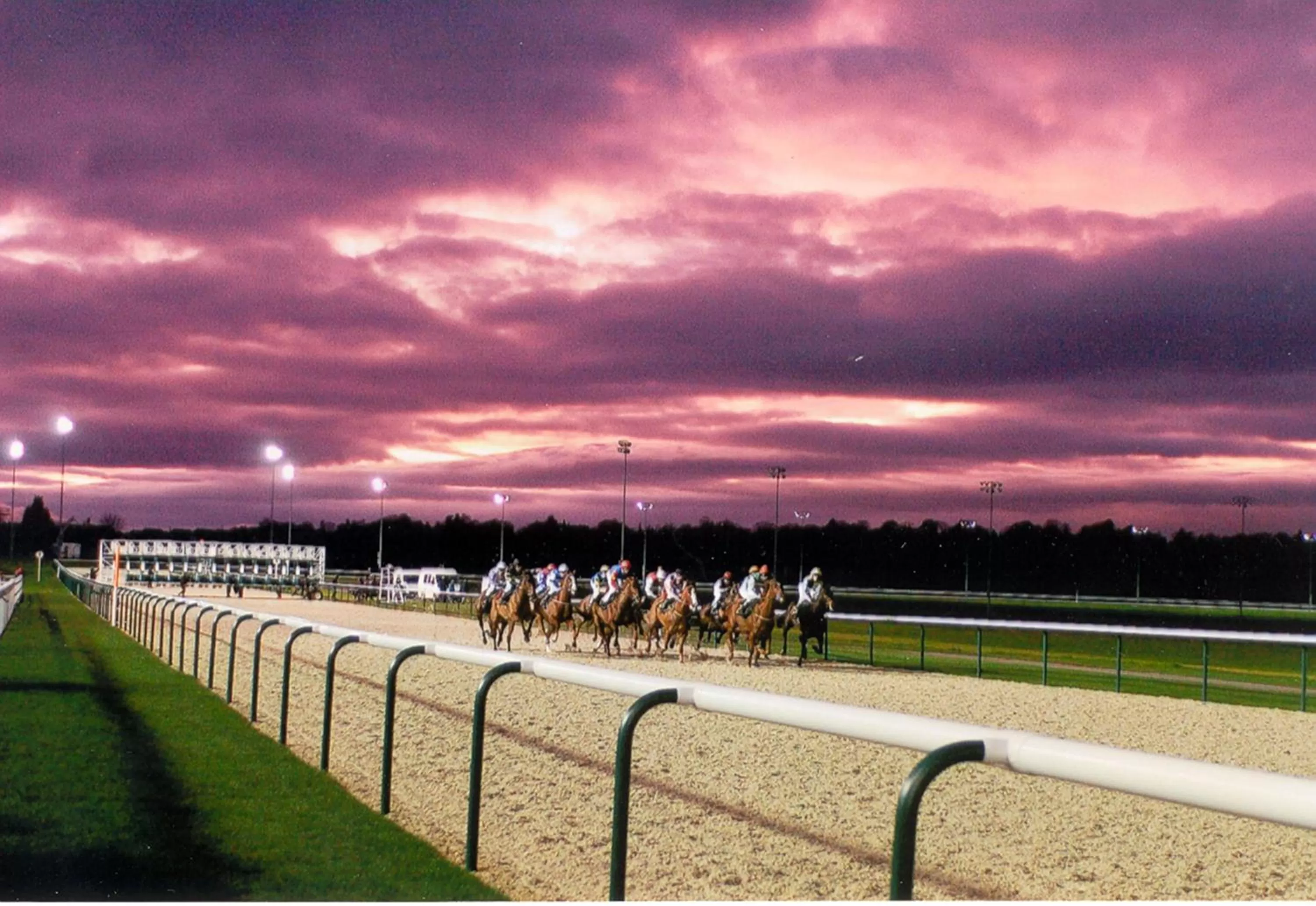 Area and facilities in Holiday Inn Wolverhampton - Racecourse by IHG