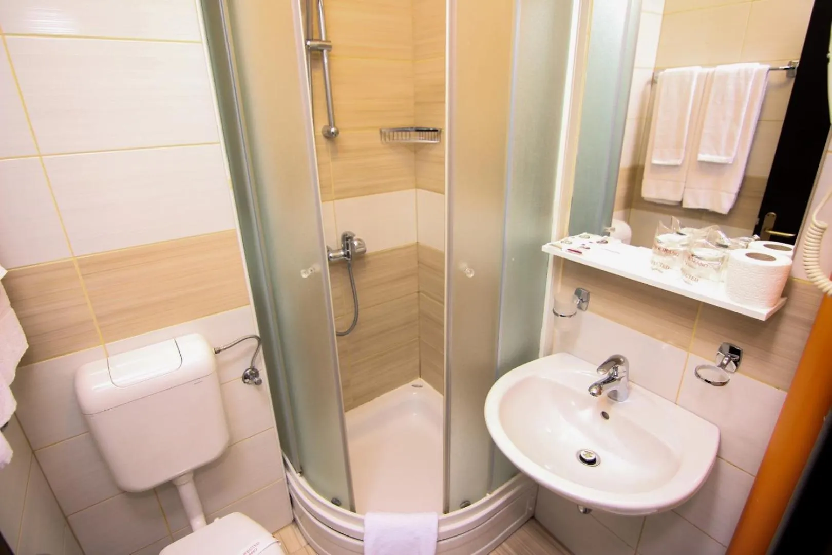 Toilet in Hotel Grand