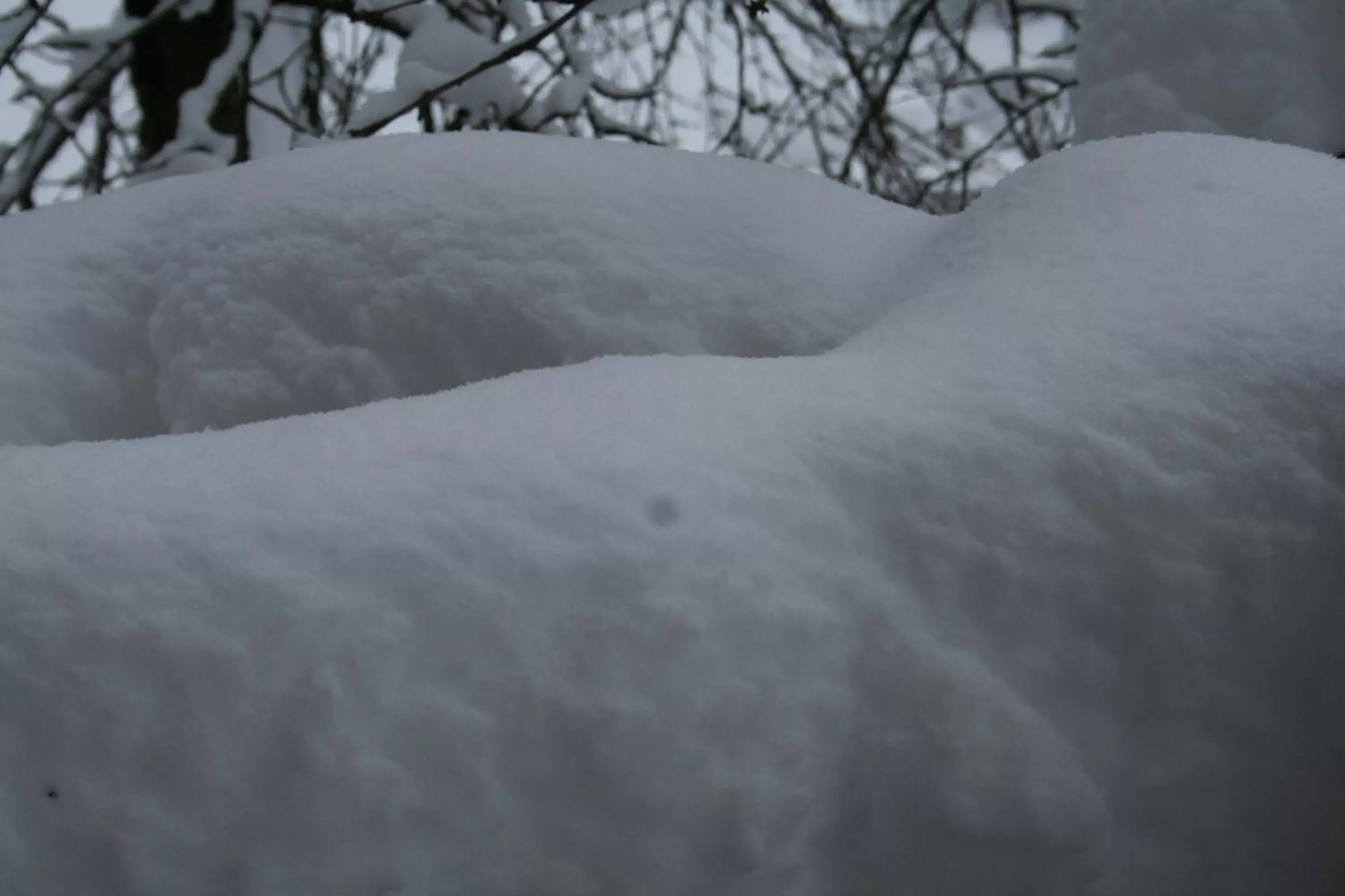 Winter in BnB Claudy et Elizabeth Michellod-Dutheil