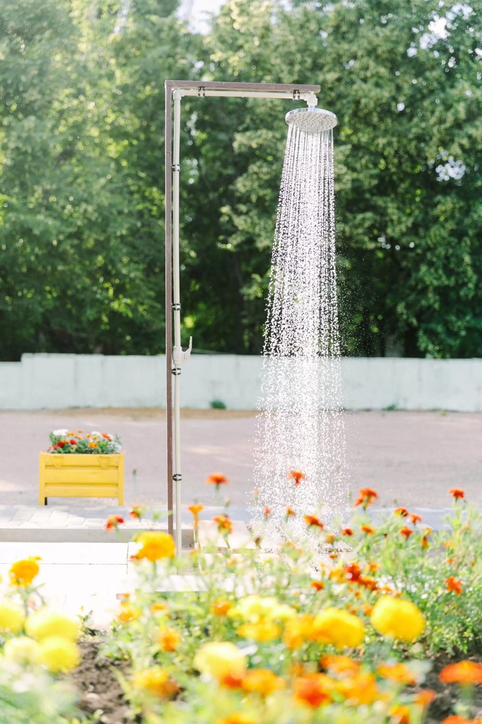 Natural landscape in Zelenyi Kampus