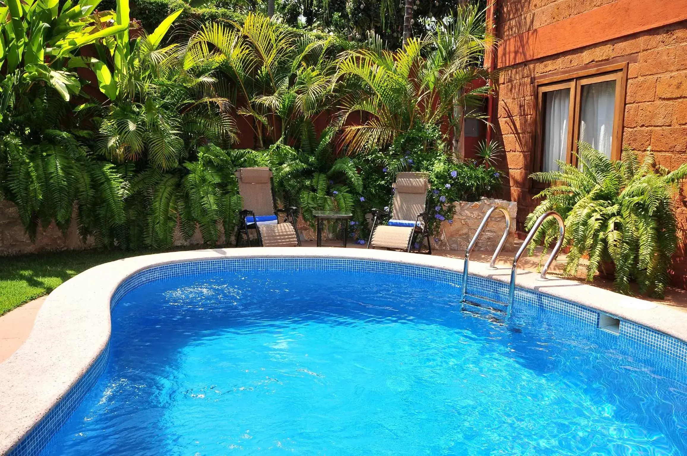 Garden, Swimming Pool in Hotel Casa San Pancho