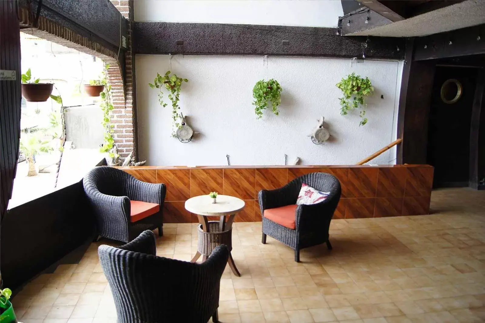 Lobby or reception in Cabo Tortuga Hotel Boutique