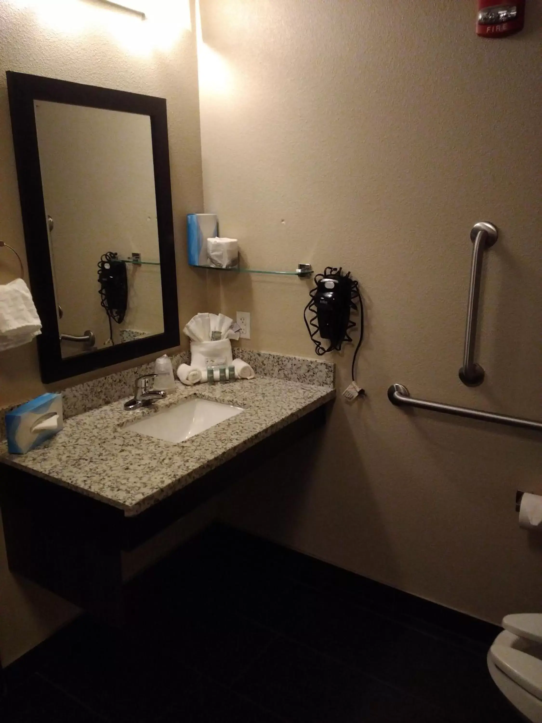 Bathroom in Best Western Roosevelt Place