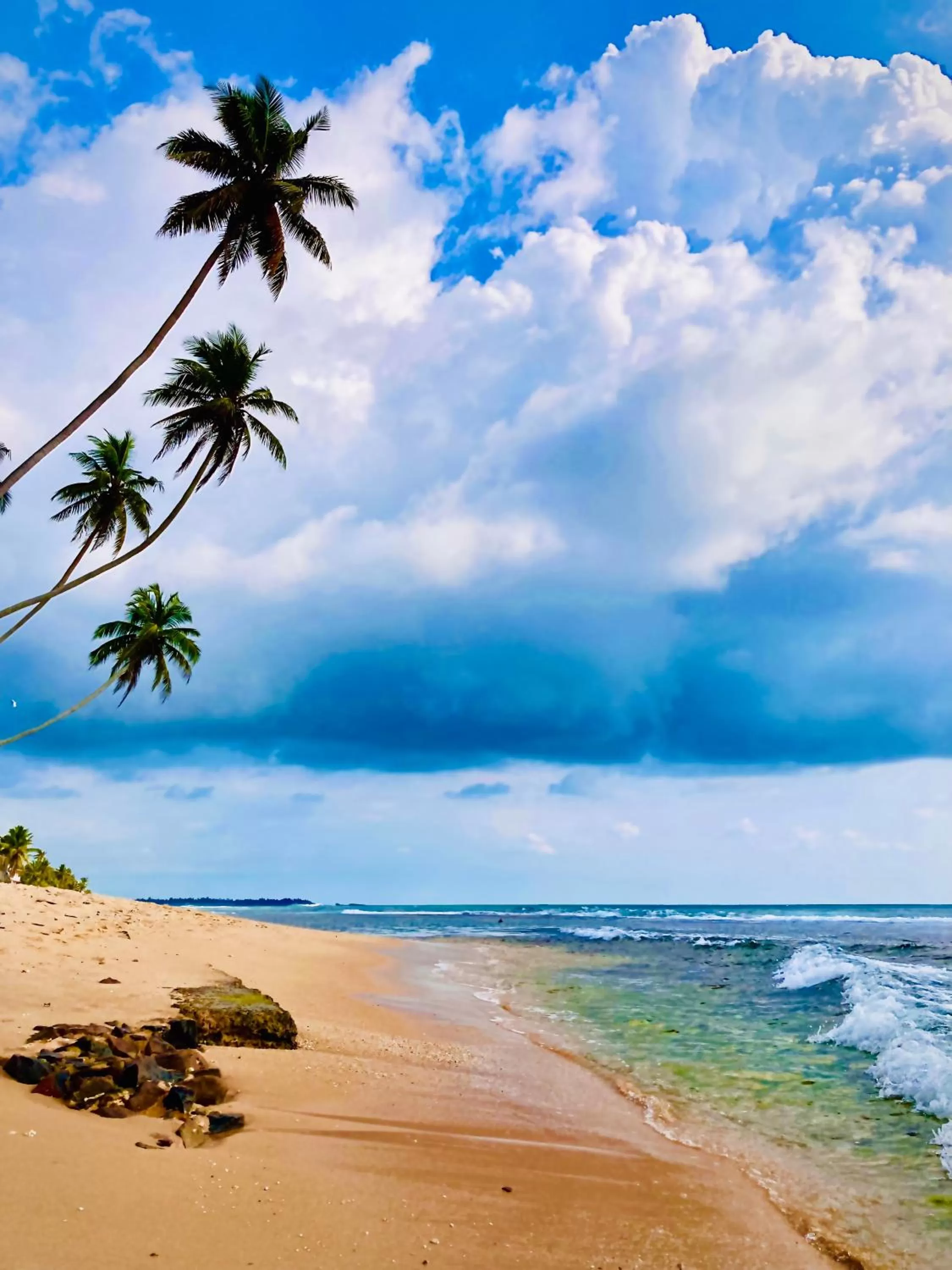 Beach in Manel Villa