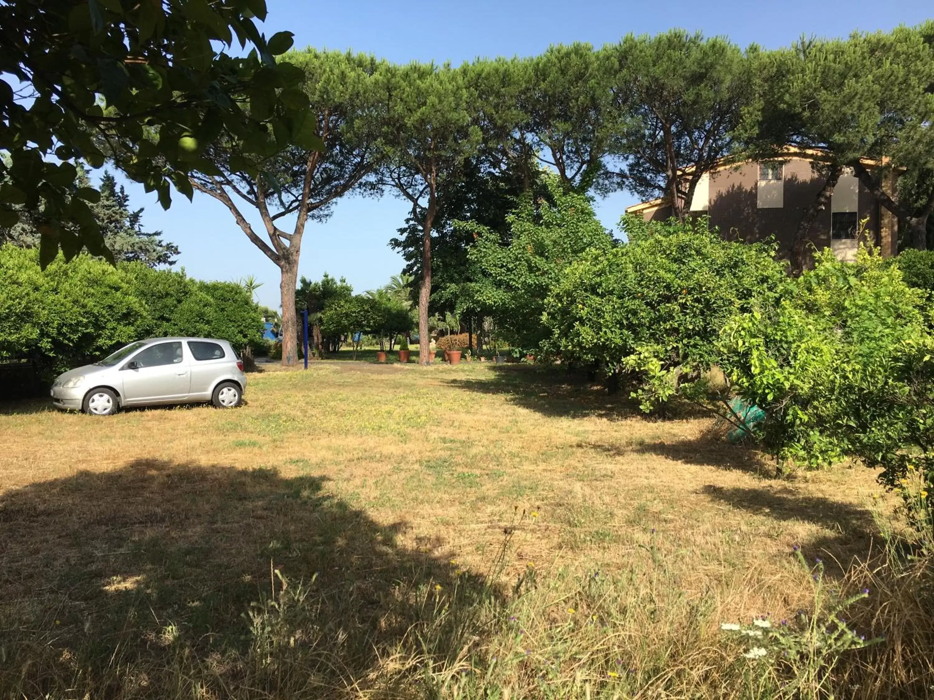 Area and facilities, Garden in Villa Viuli