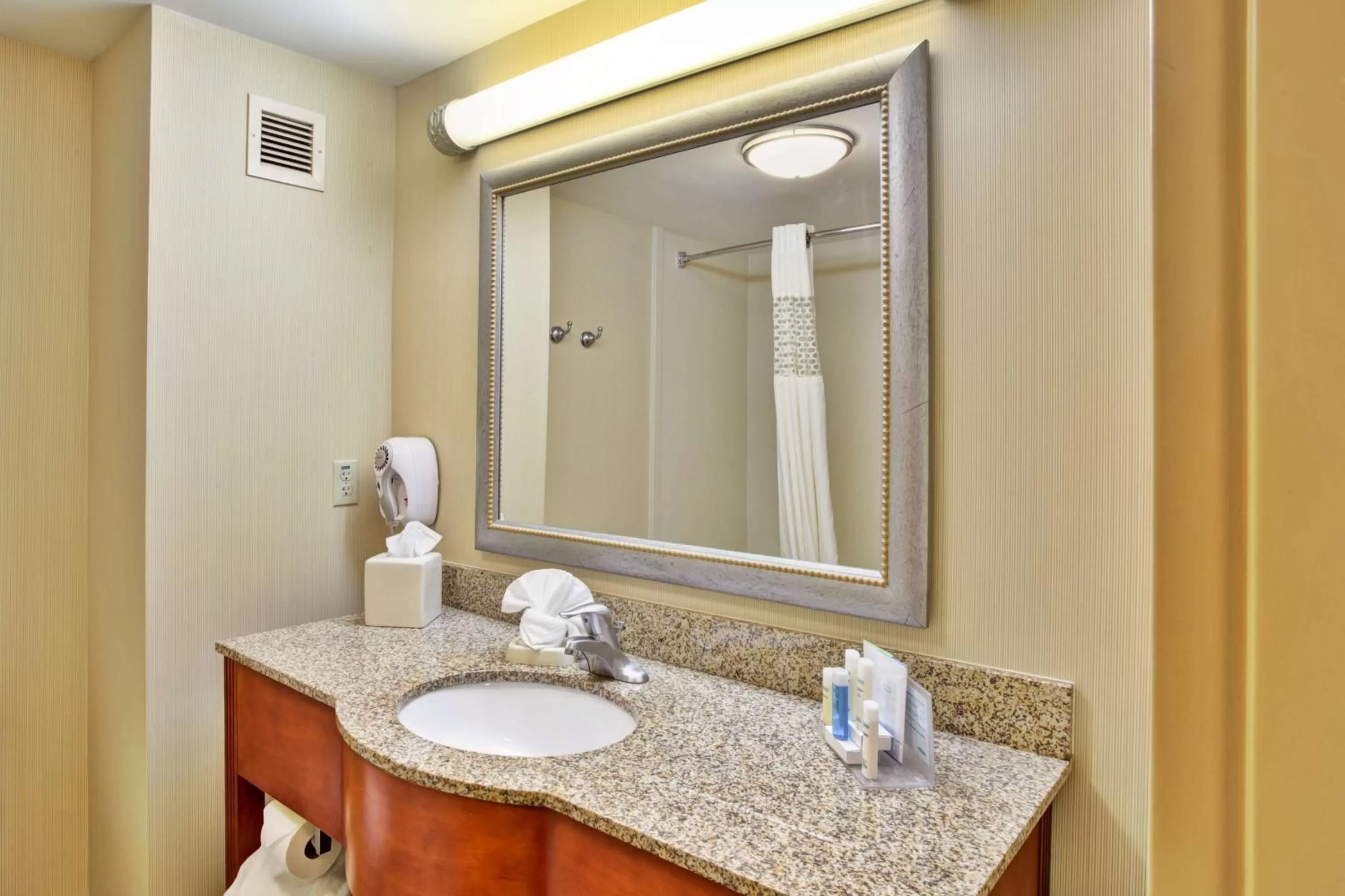 Bathroom in Hampton Inn Rutland/Killington