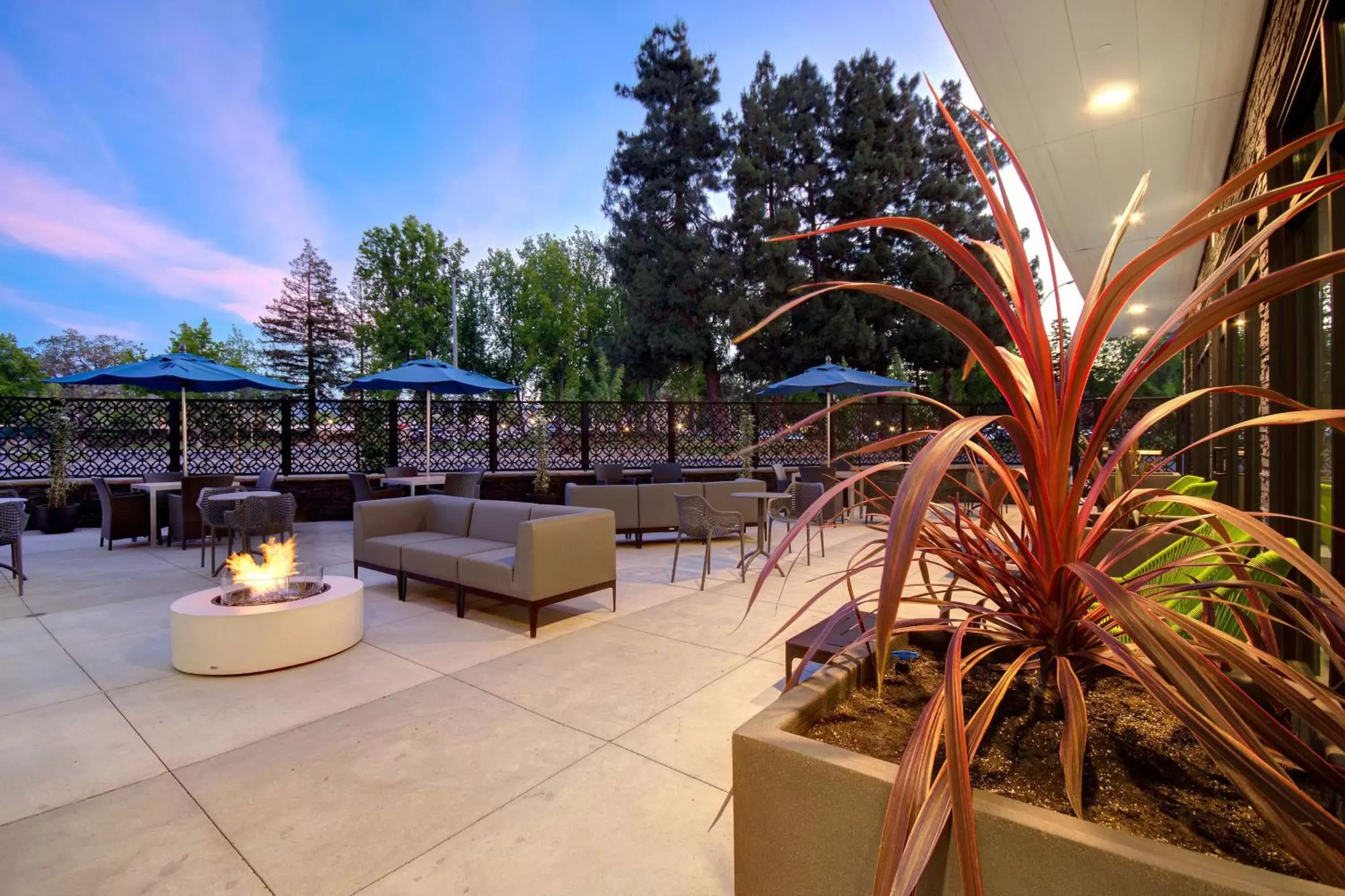 Patio in Hampton Inn & Suites Sunnyvale-Silicon Valley, Ca